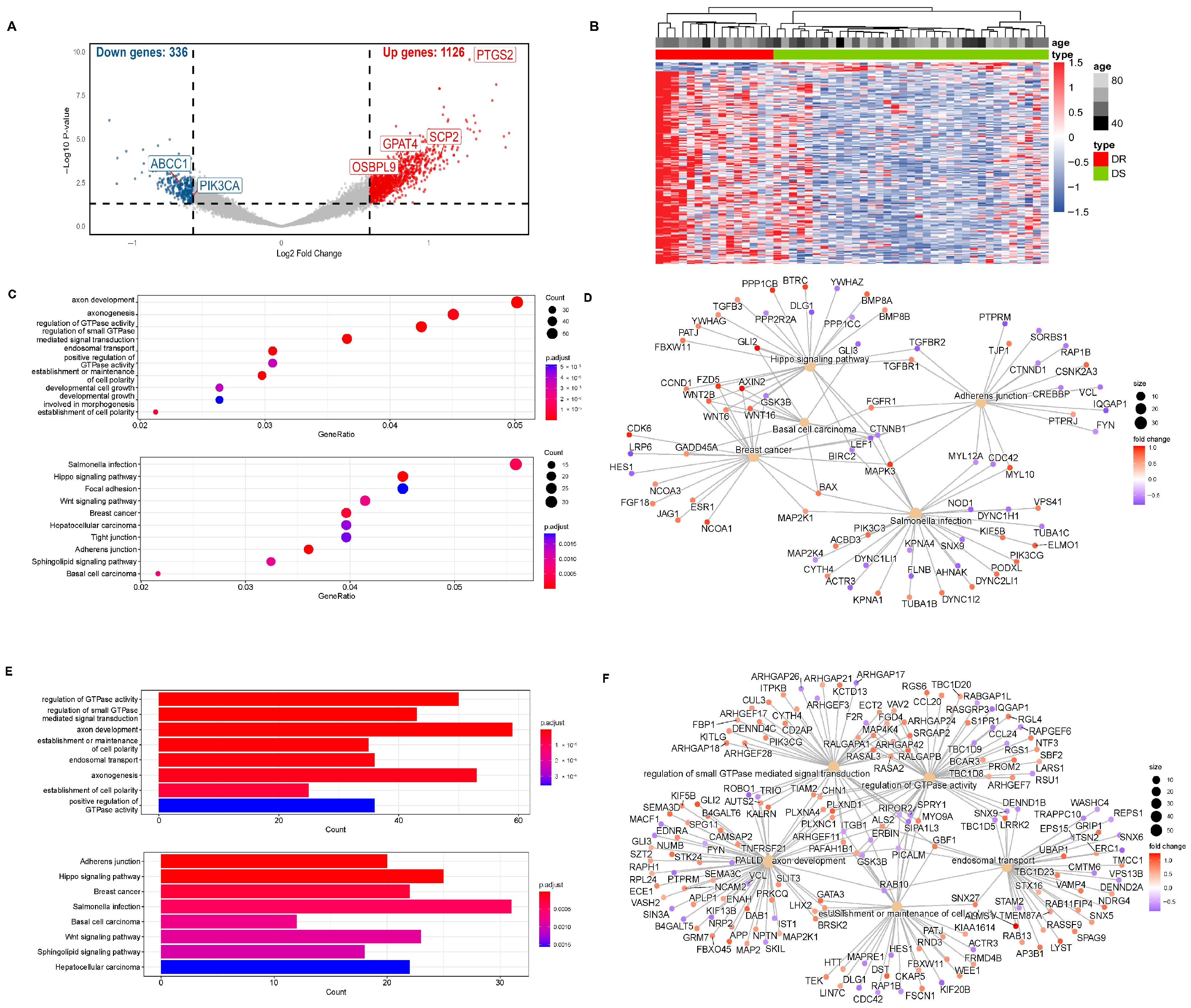 Biomedicines 13 01664 g001