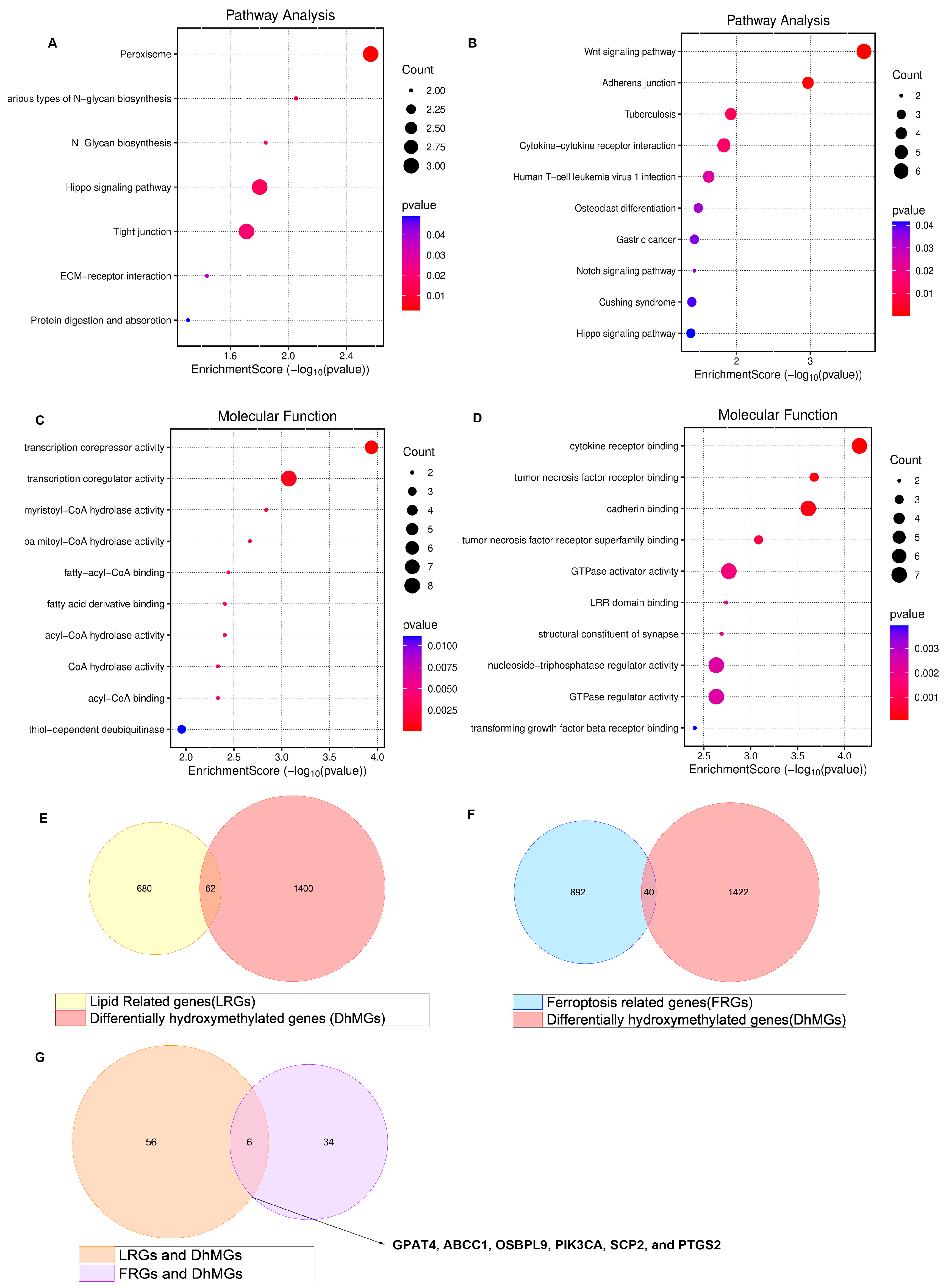 Biomedicines 13 01664 g002