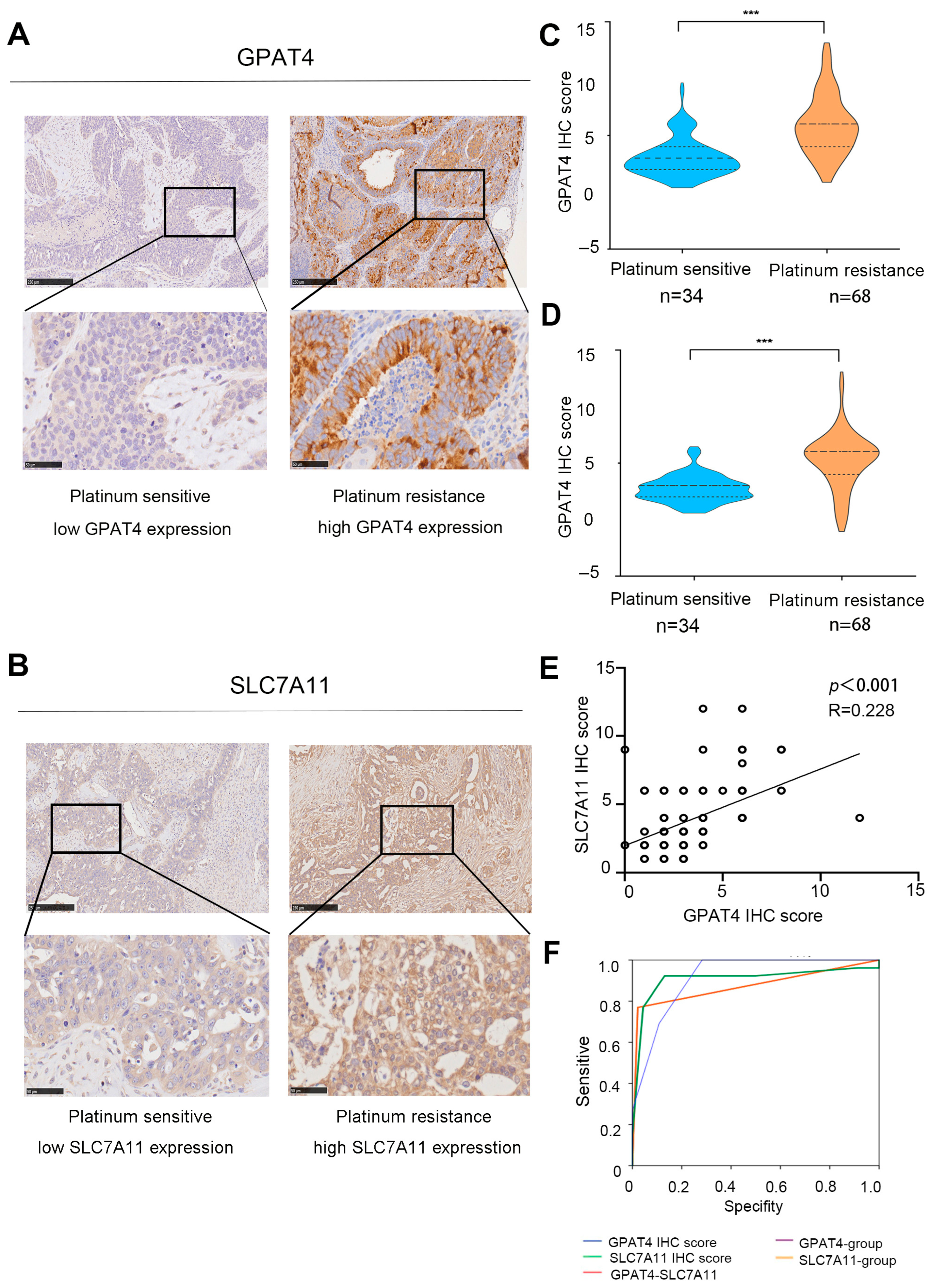 Biomedicines 13 01664 g003