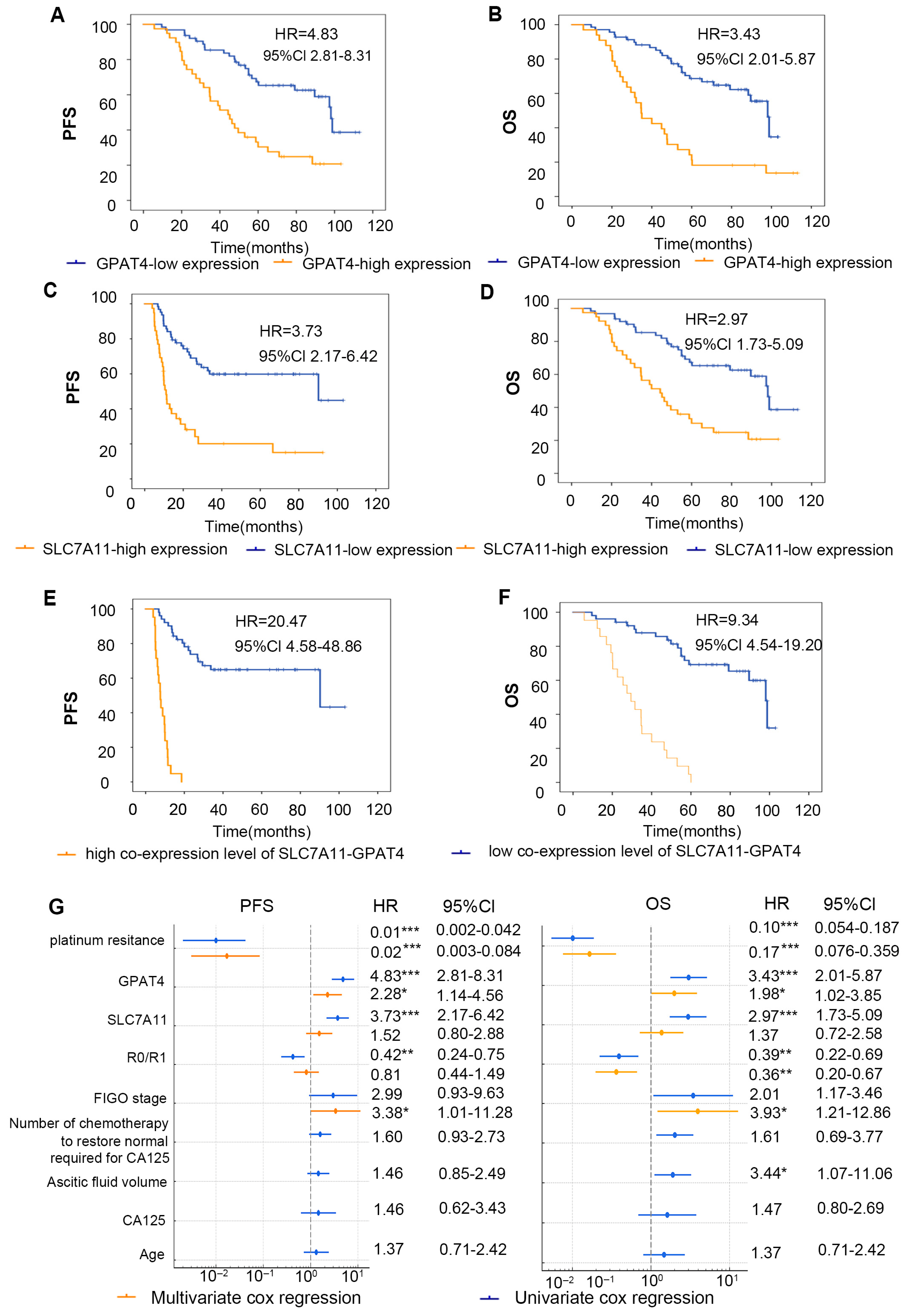Biomedicines 13 01664 g004