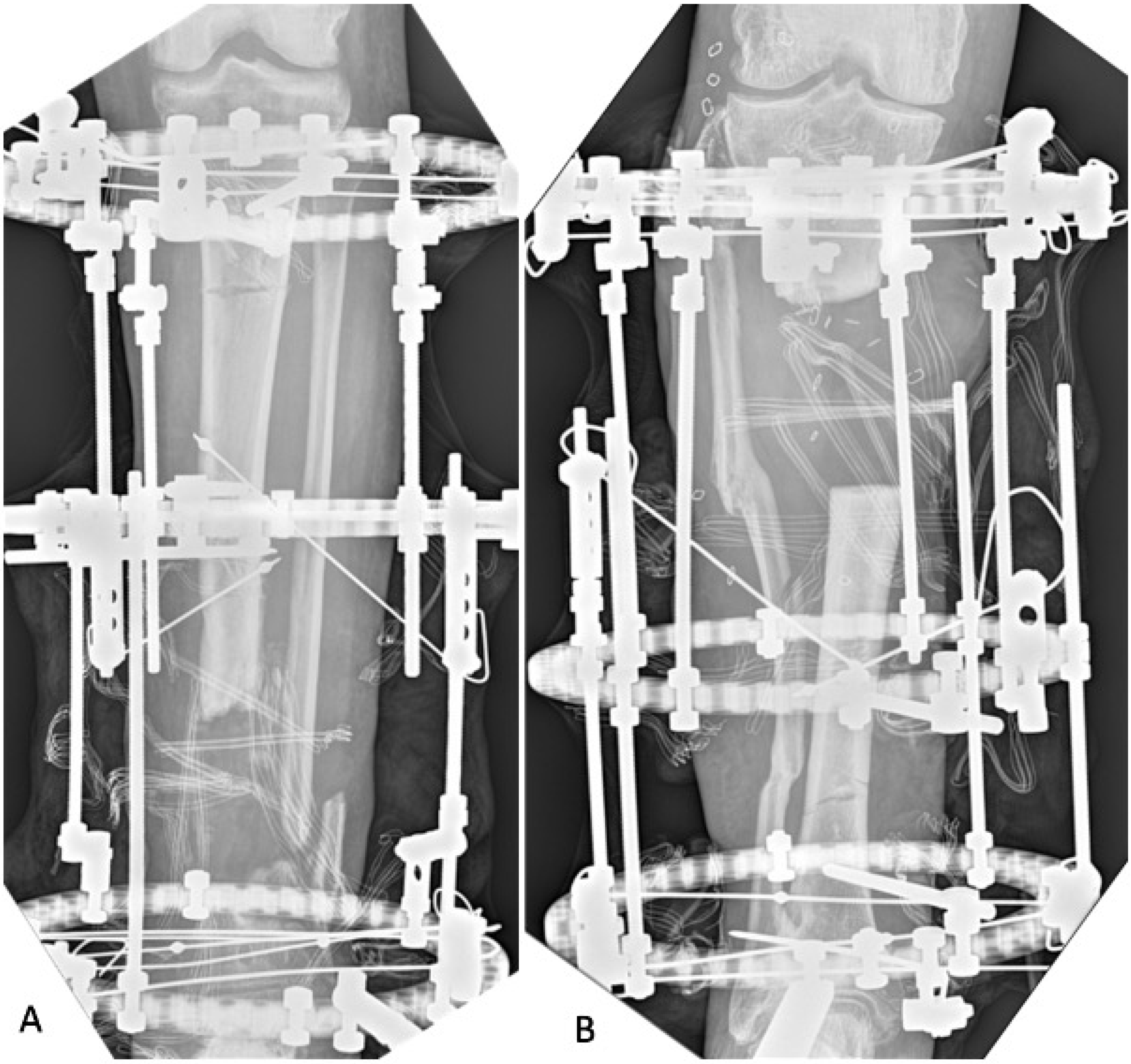 Biomedicines 13 01665 g002