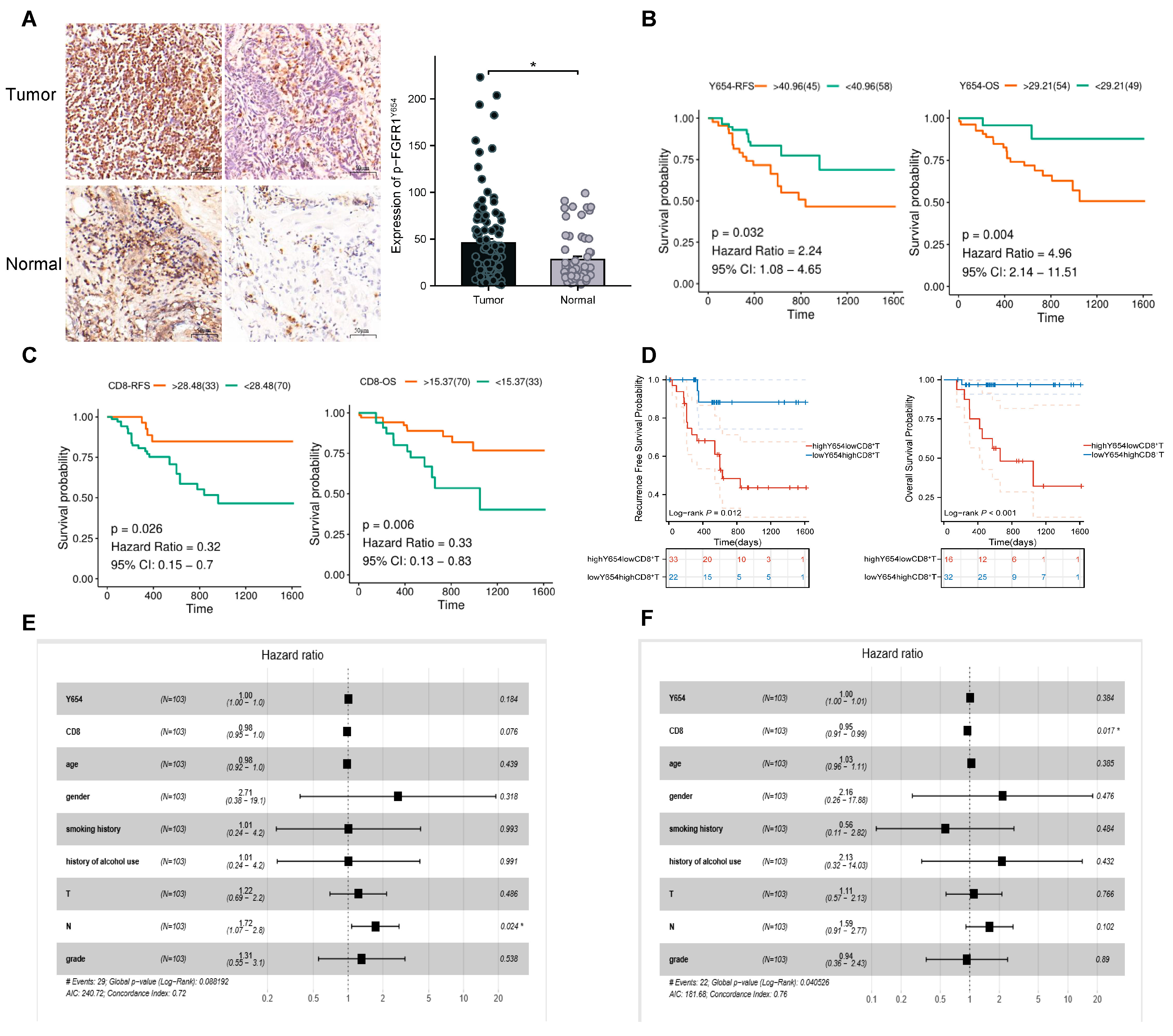 Biomedicines 13 01667 g001