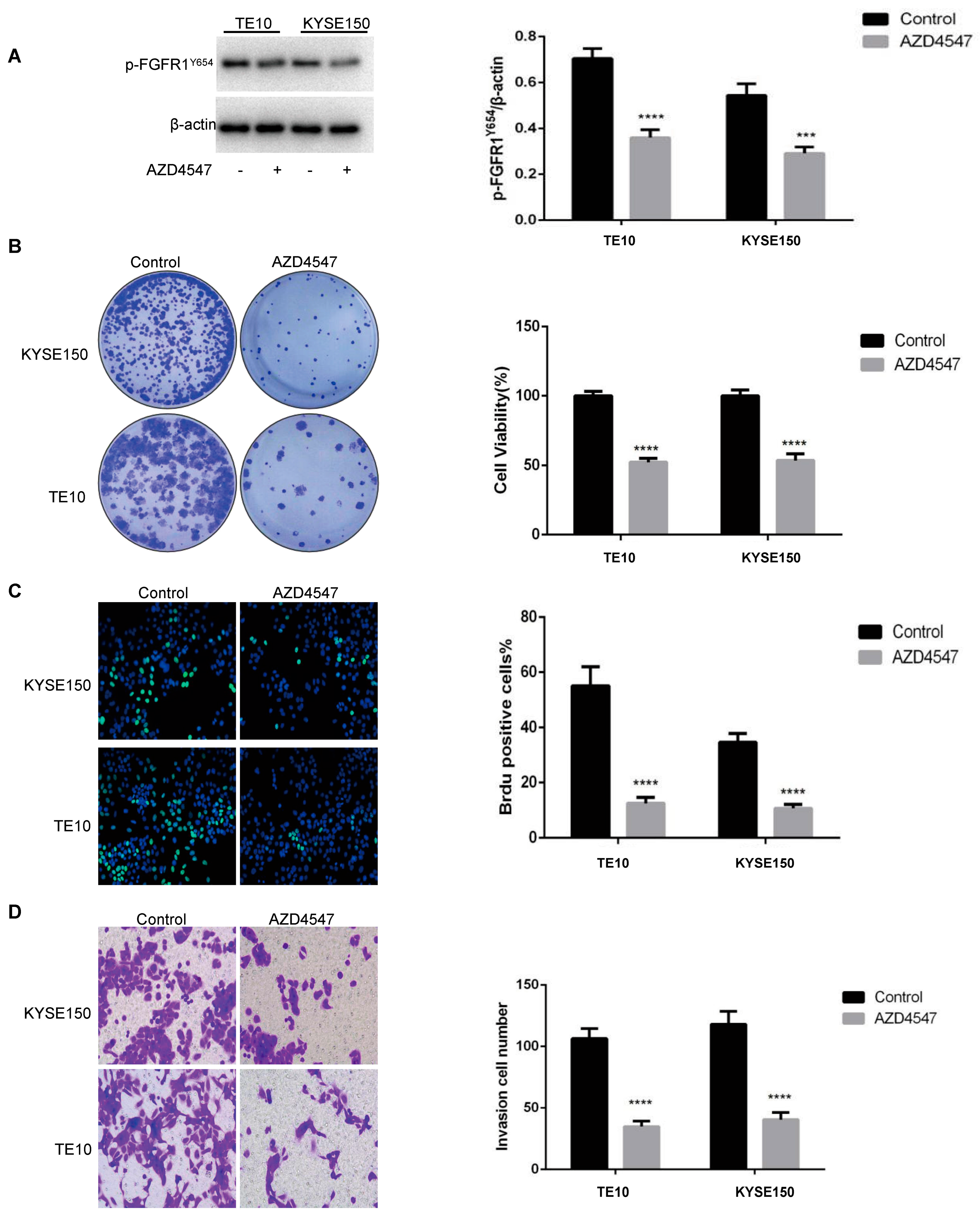 Biomedicines 13 01667 g002