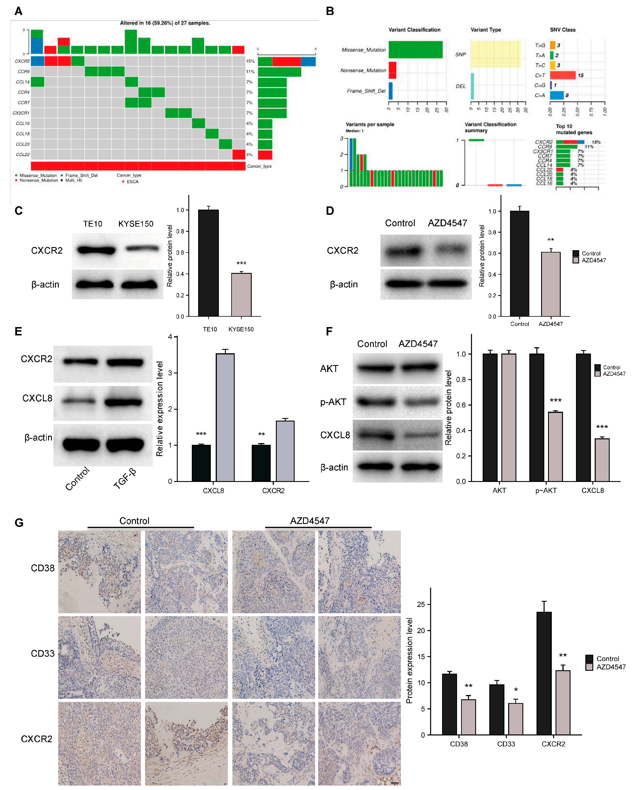 Biomedicines 13 01667 g005