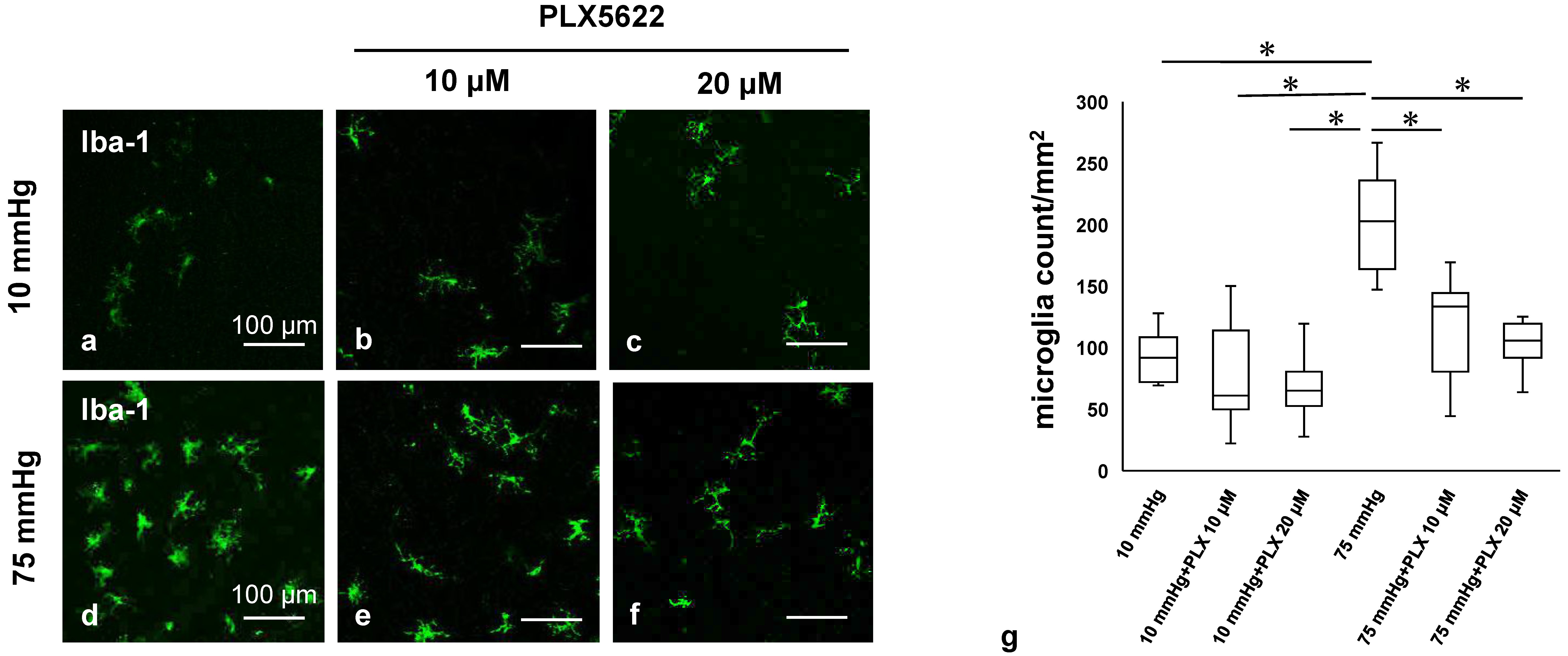 Biomedicines 13 01670 g003