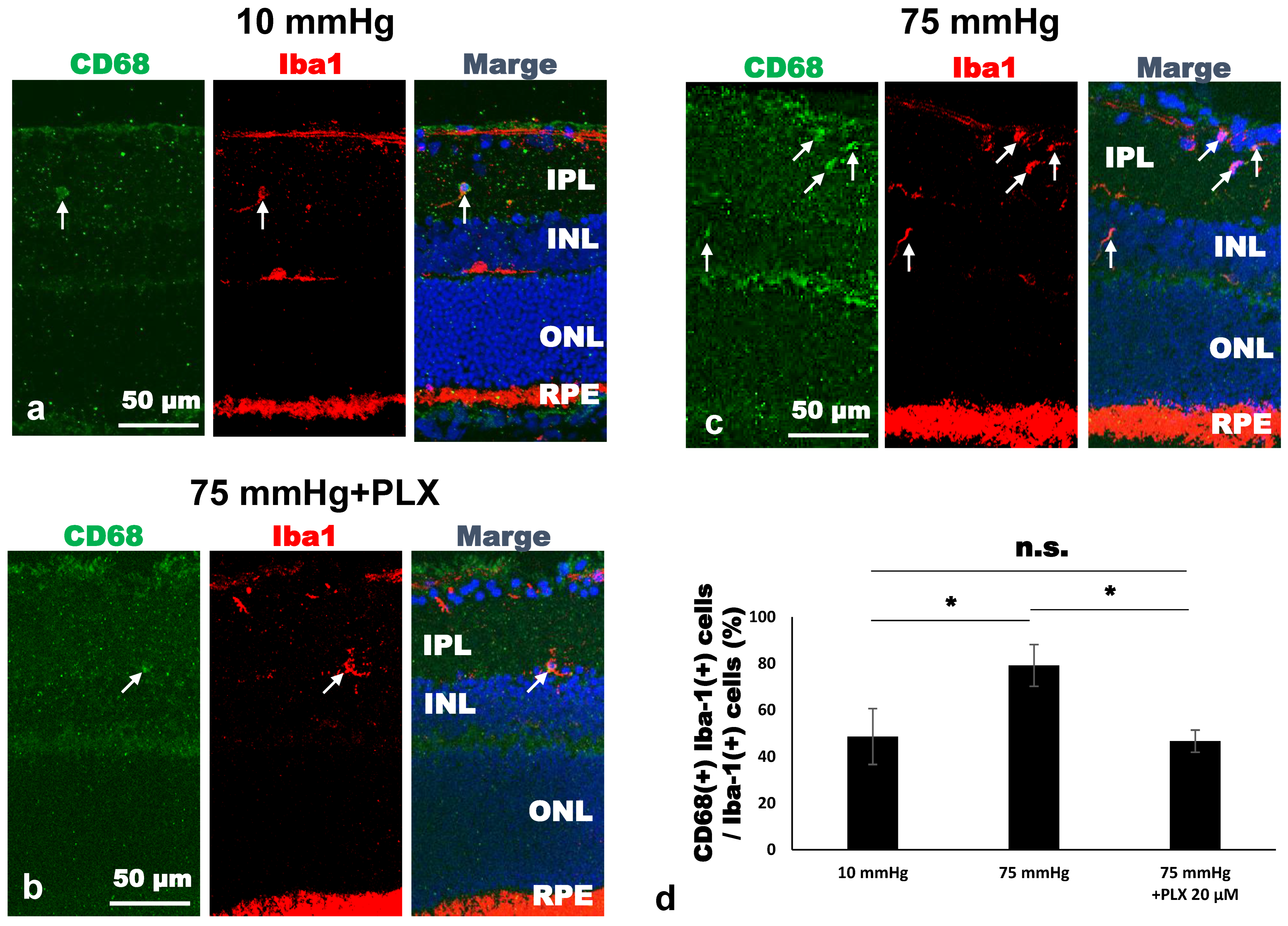 Biomedicines 13 01670 g005