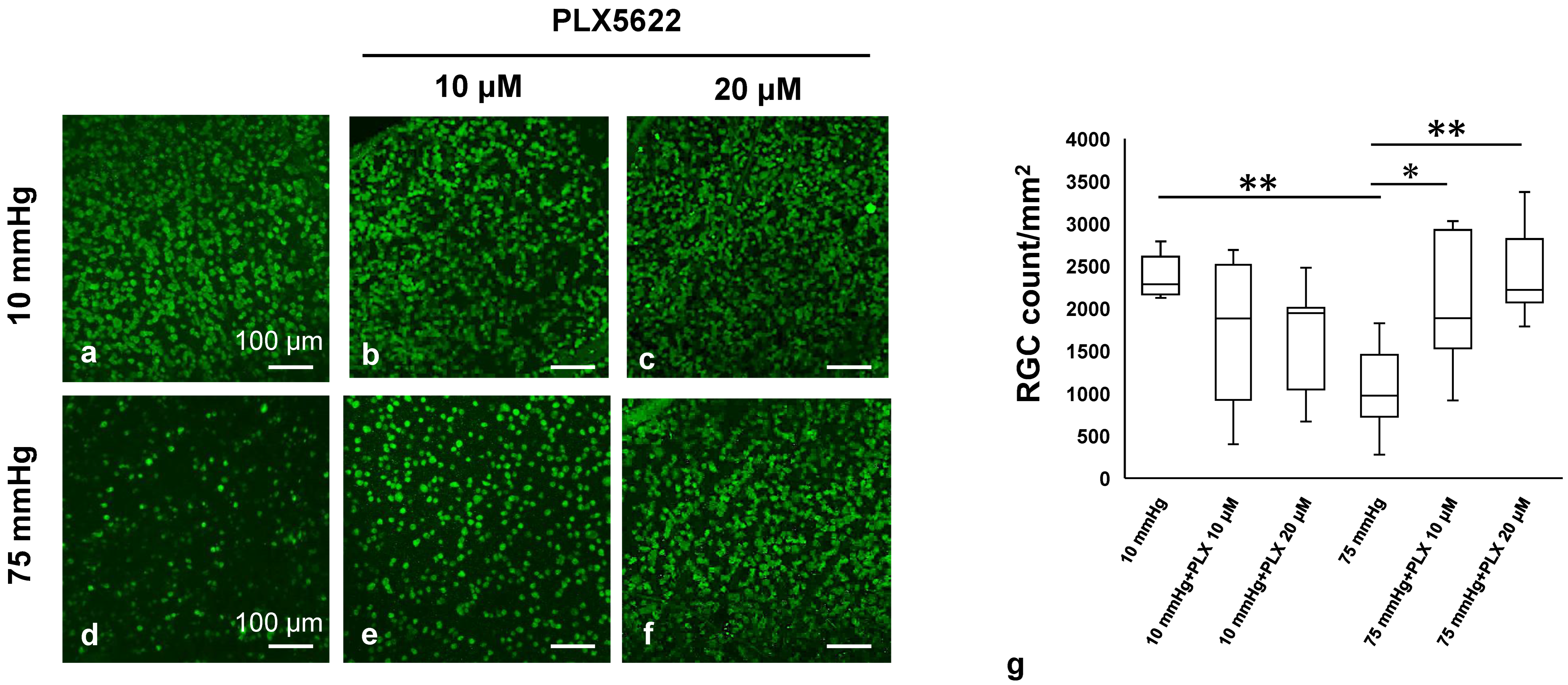 Biomedicines 13 01670 g006