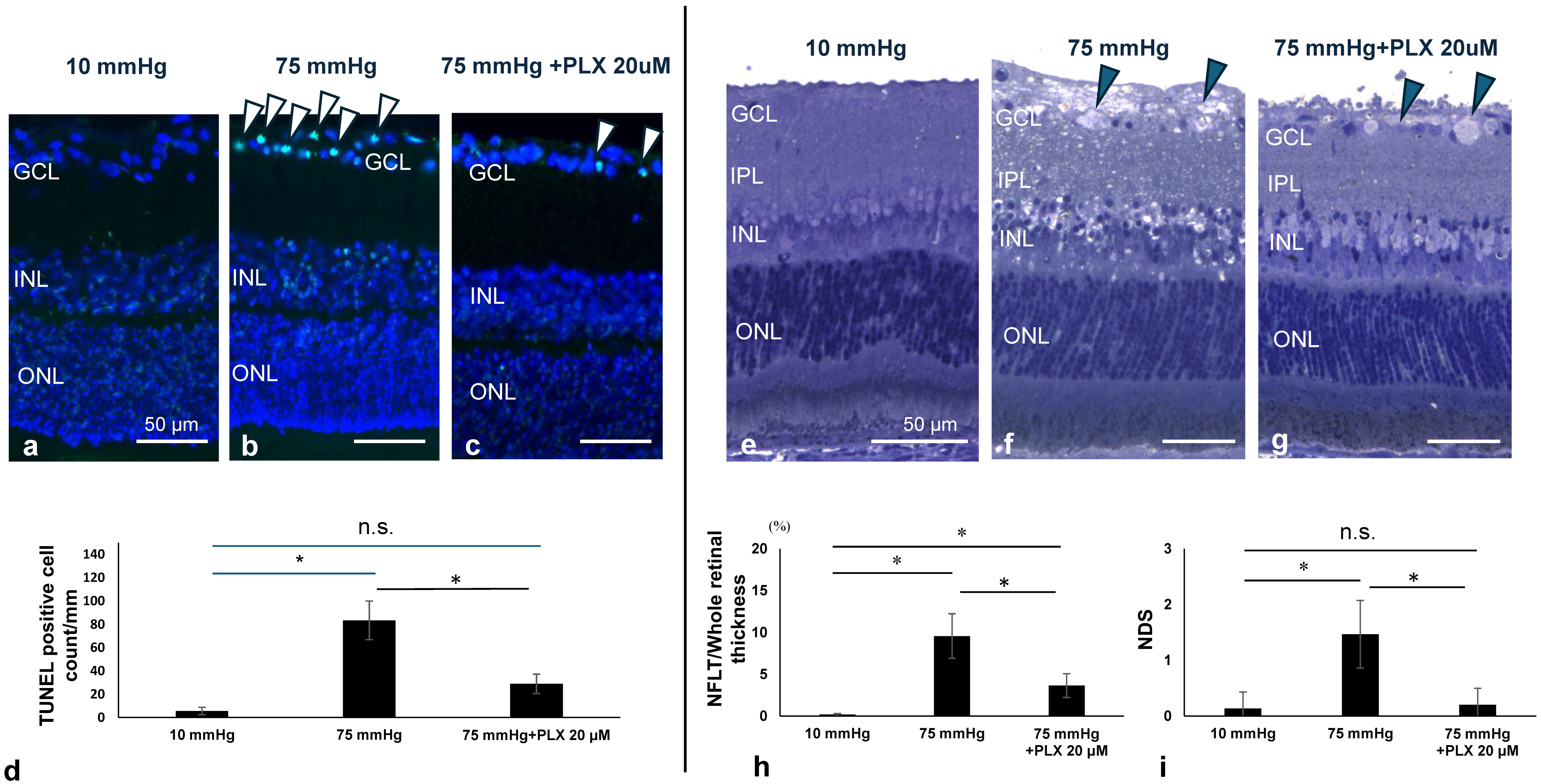 Biomedicines 13 01670 g007