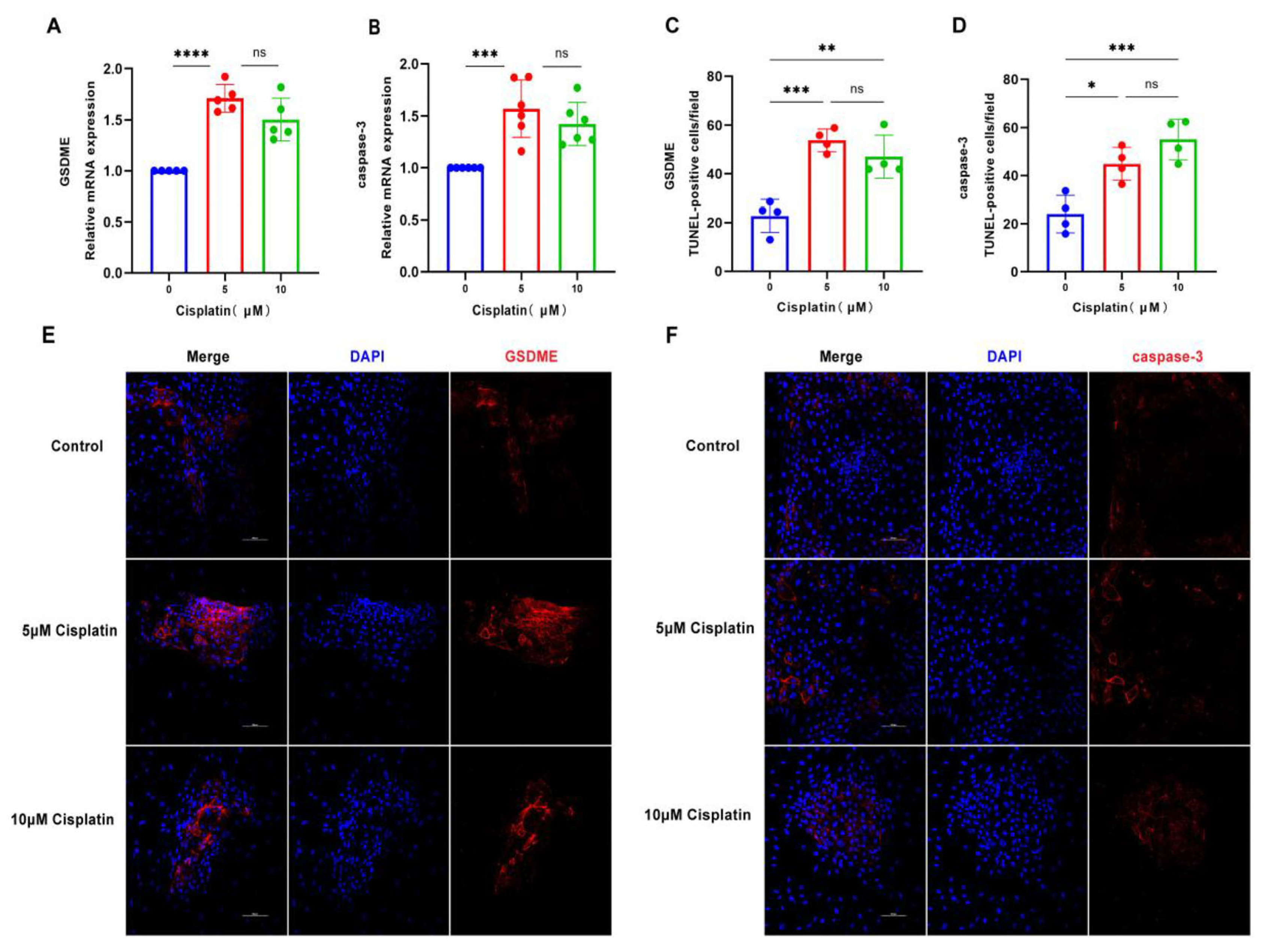 Biomedicines 13 01680 g002
