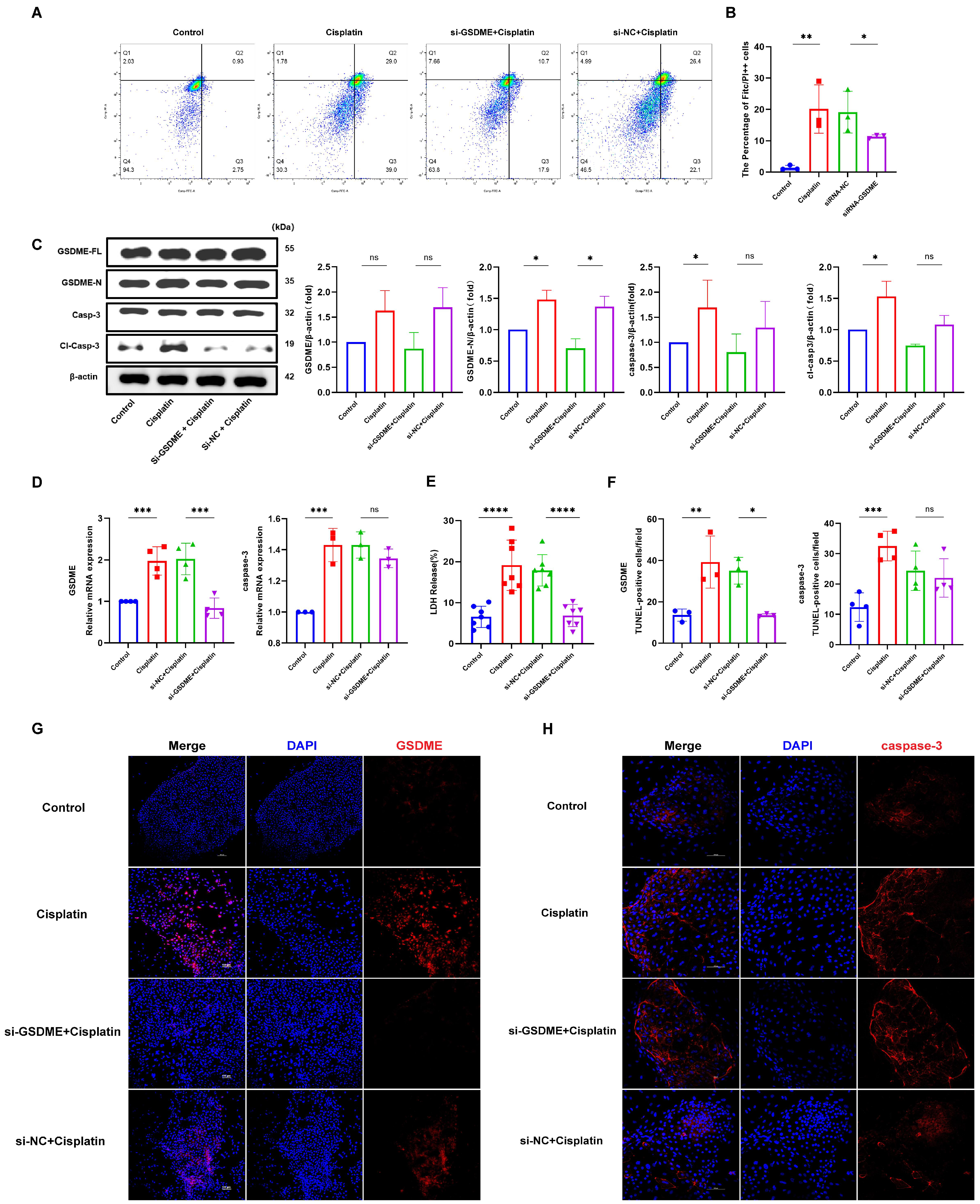 Biomedicines 13 01680 g003