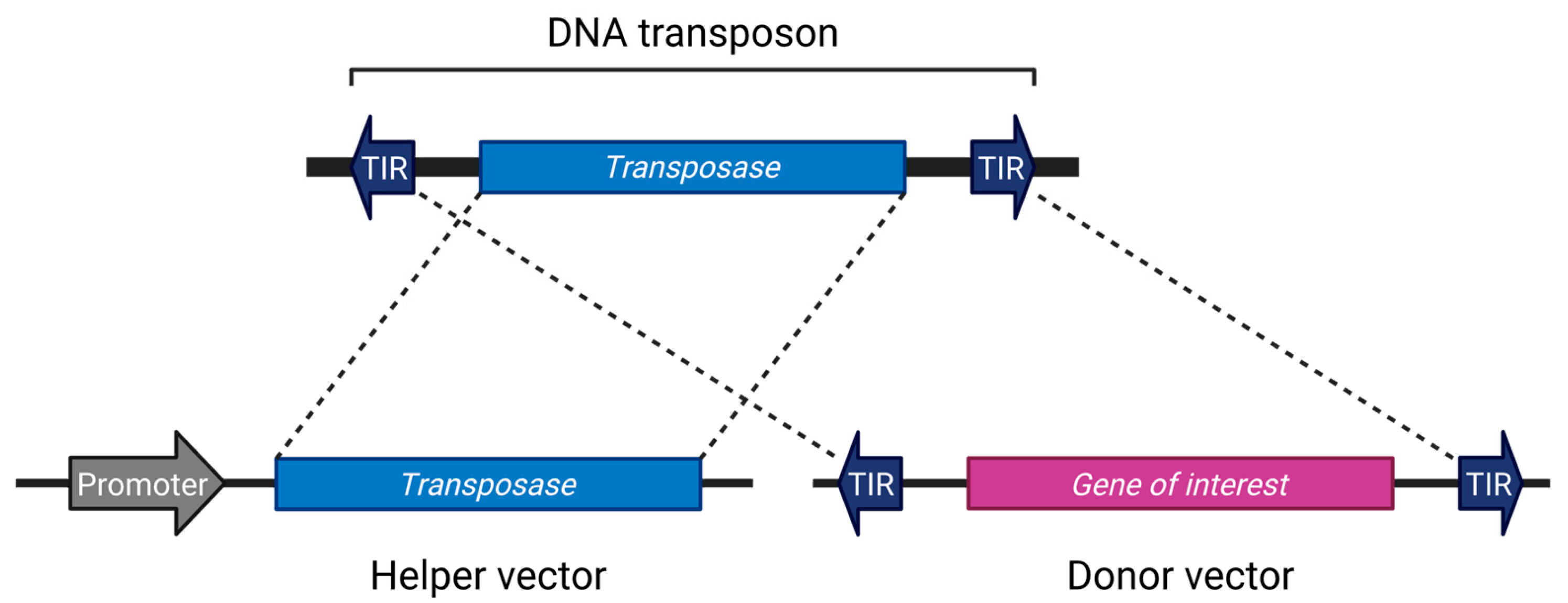 Biomedicines 13 01682 g001
