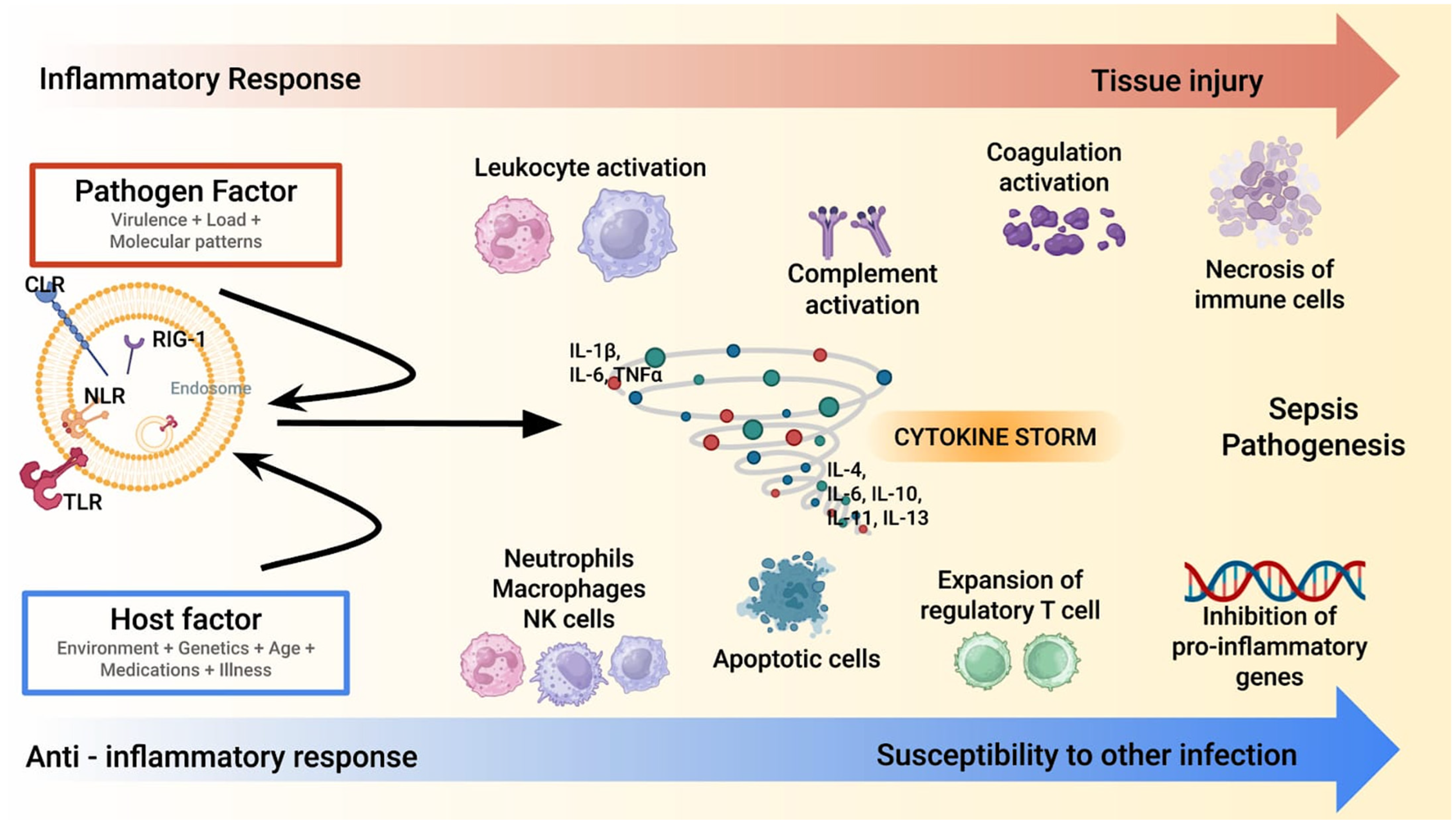 Biomedicines 13 01684 g001