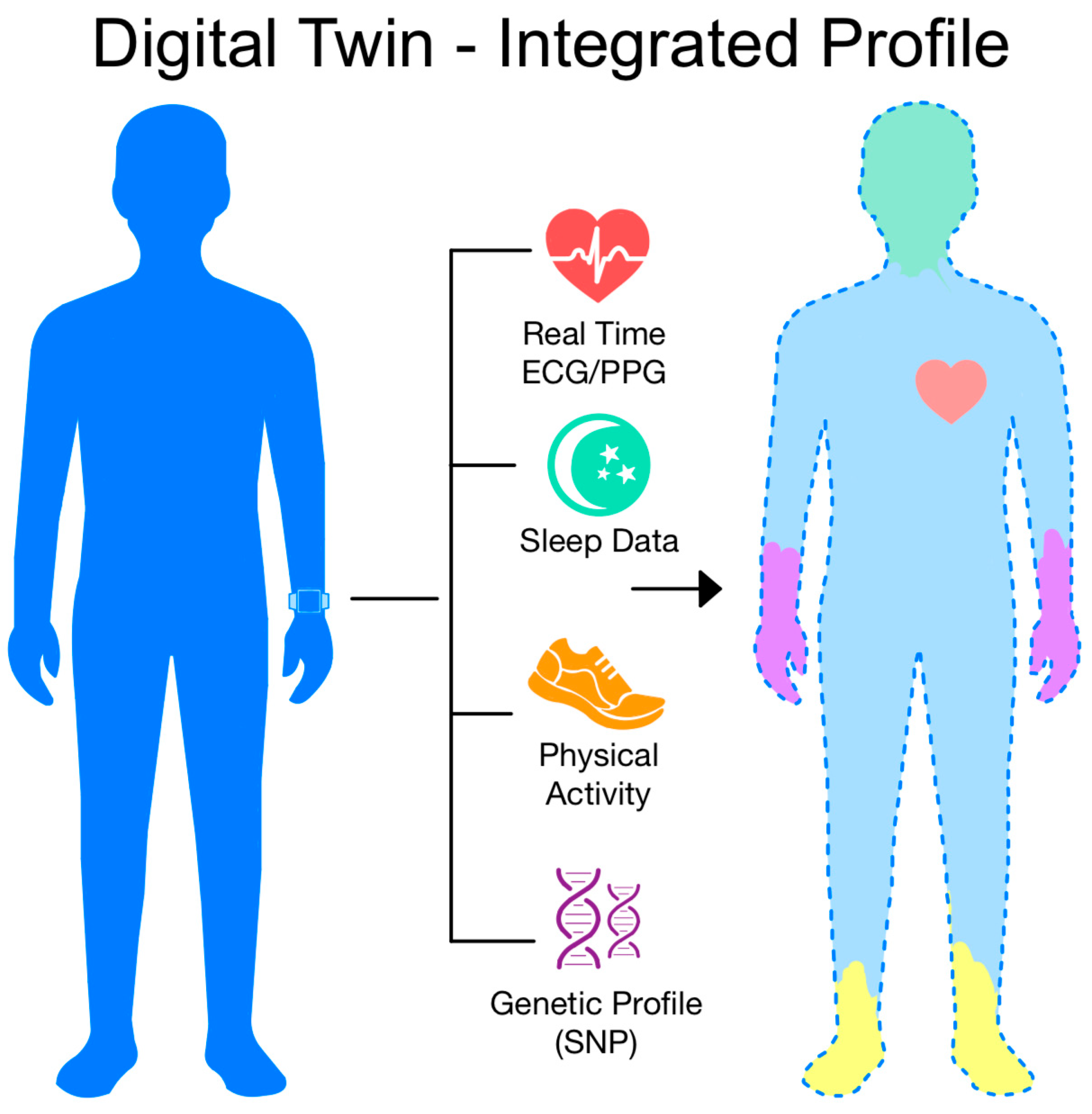 Biomedicines 13 01685 g003