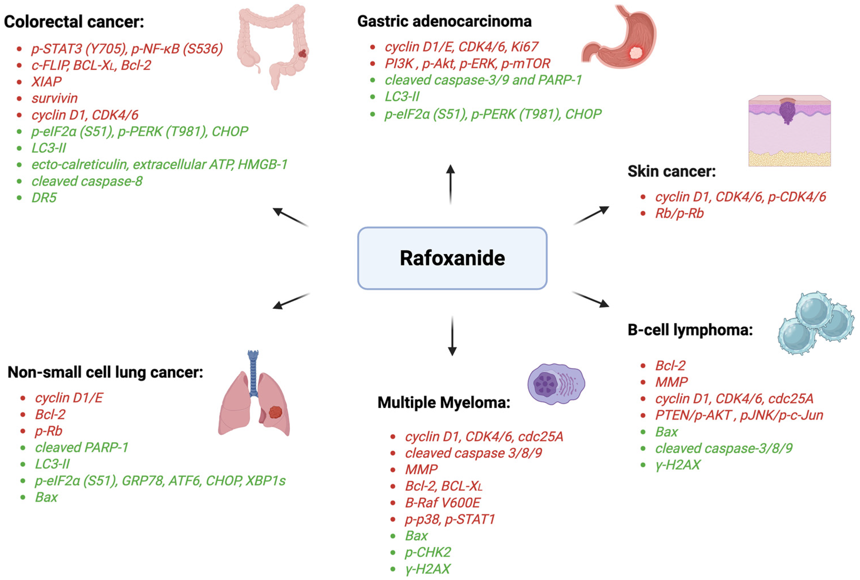 Biomedicines 13 01686 g002
