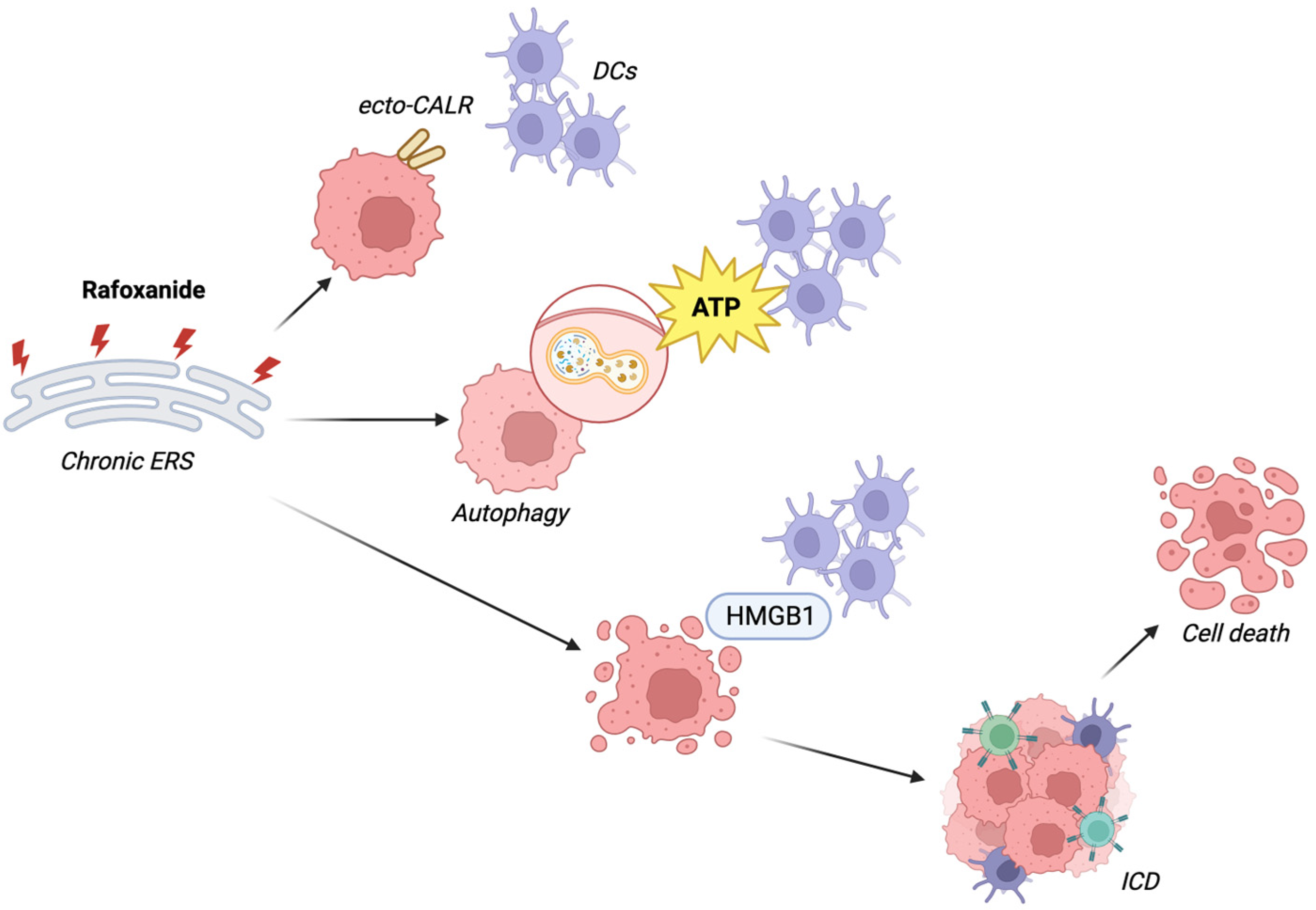 Biomedicines 13 01686 g003