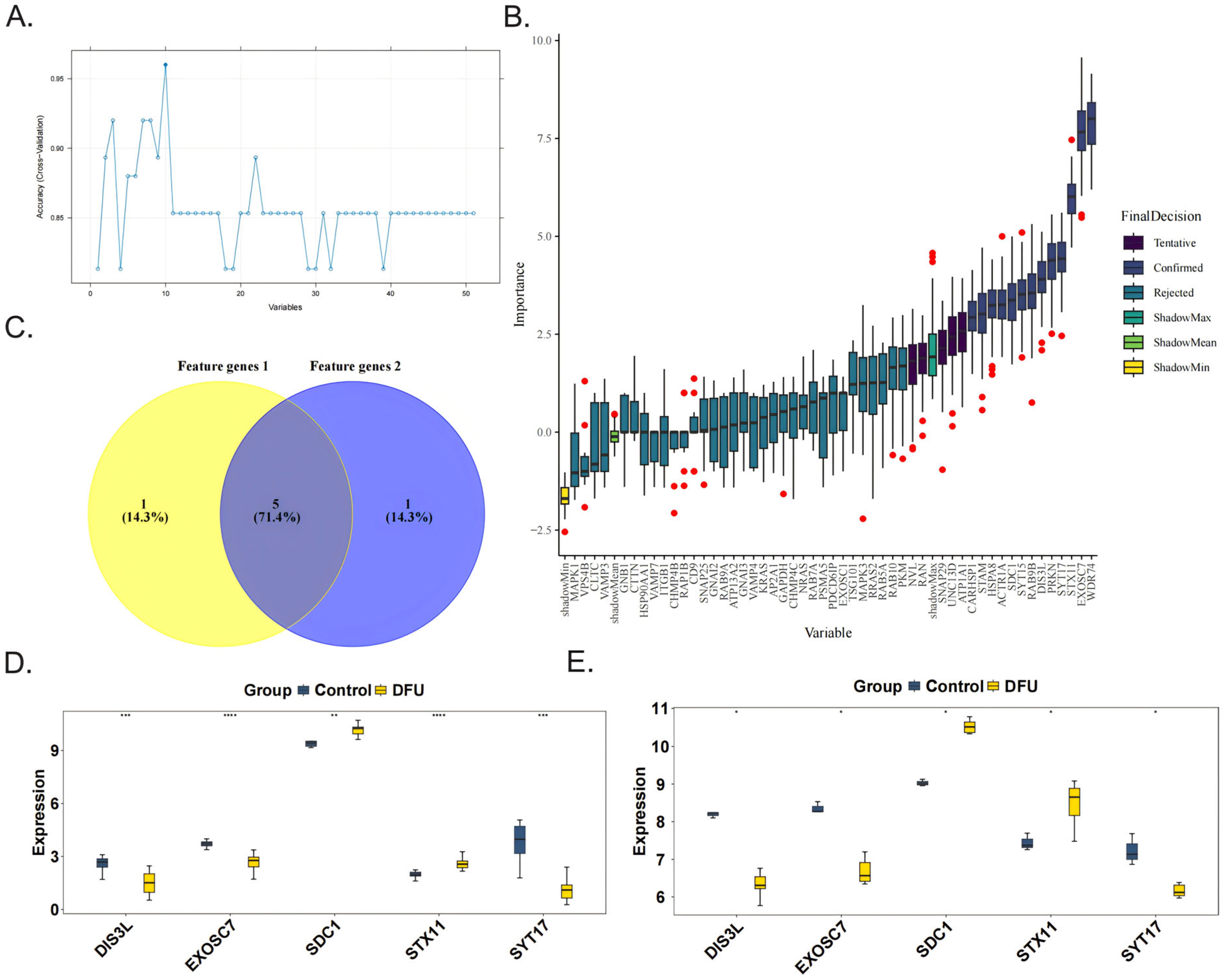 Biomedicines 13 01687 g002