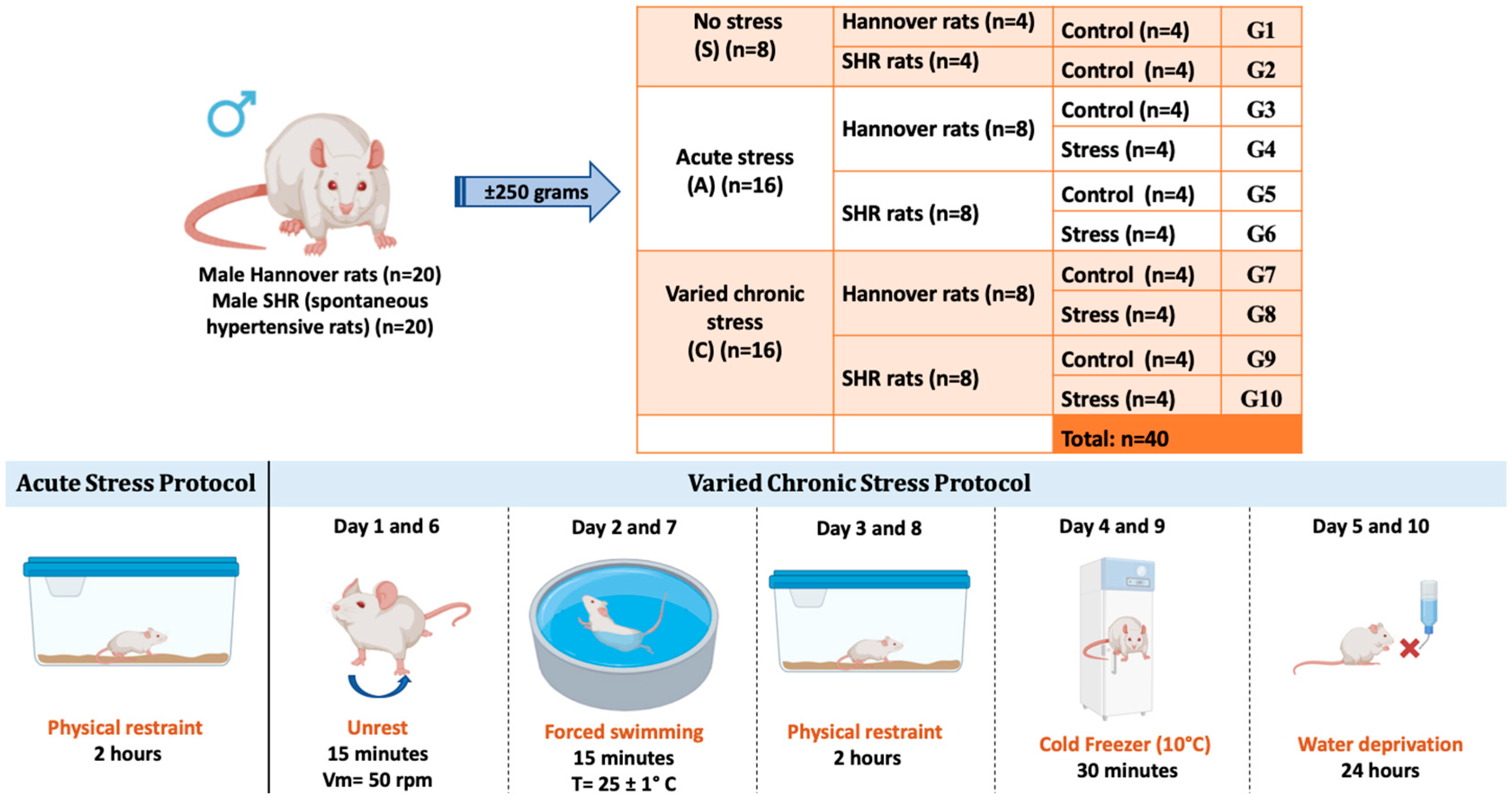 Biomedicines 13 01689 g001