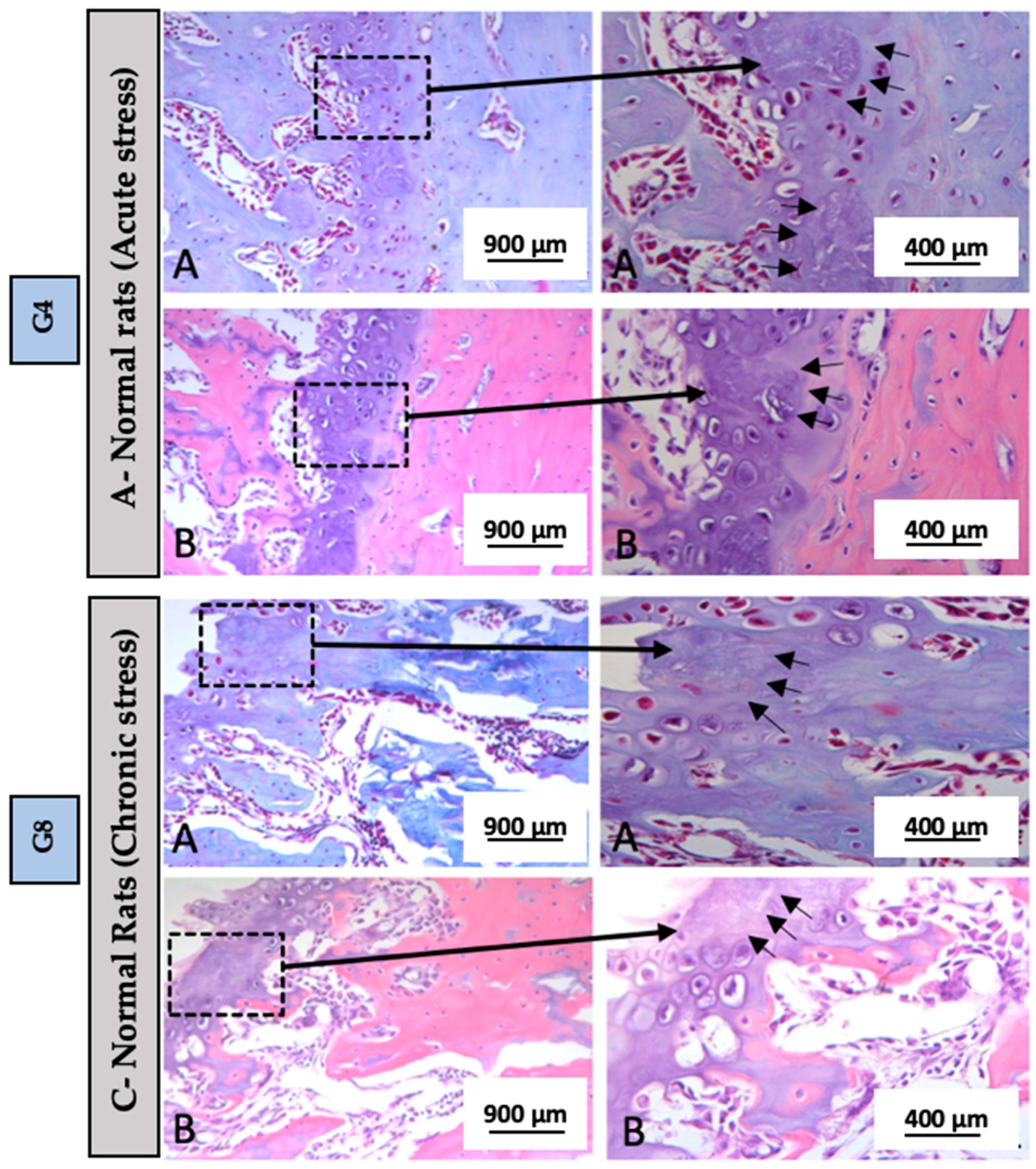 Biomedicines 13 01689 g006