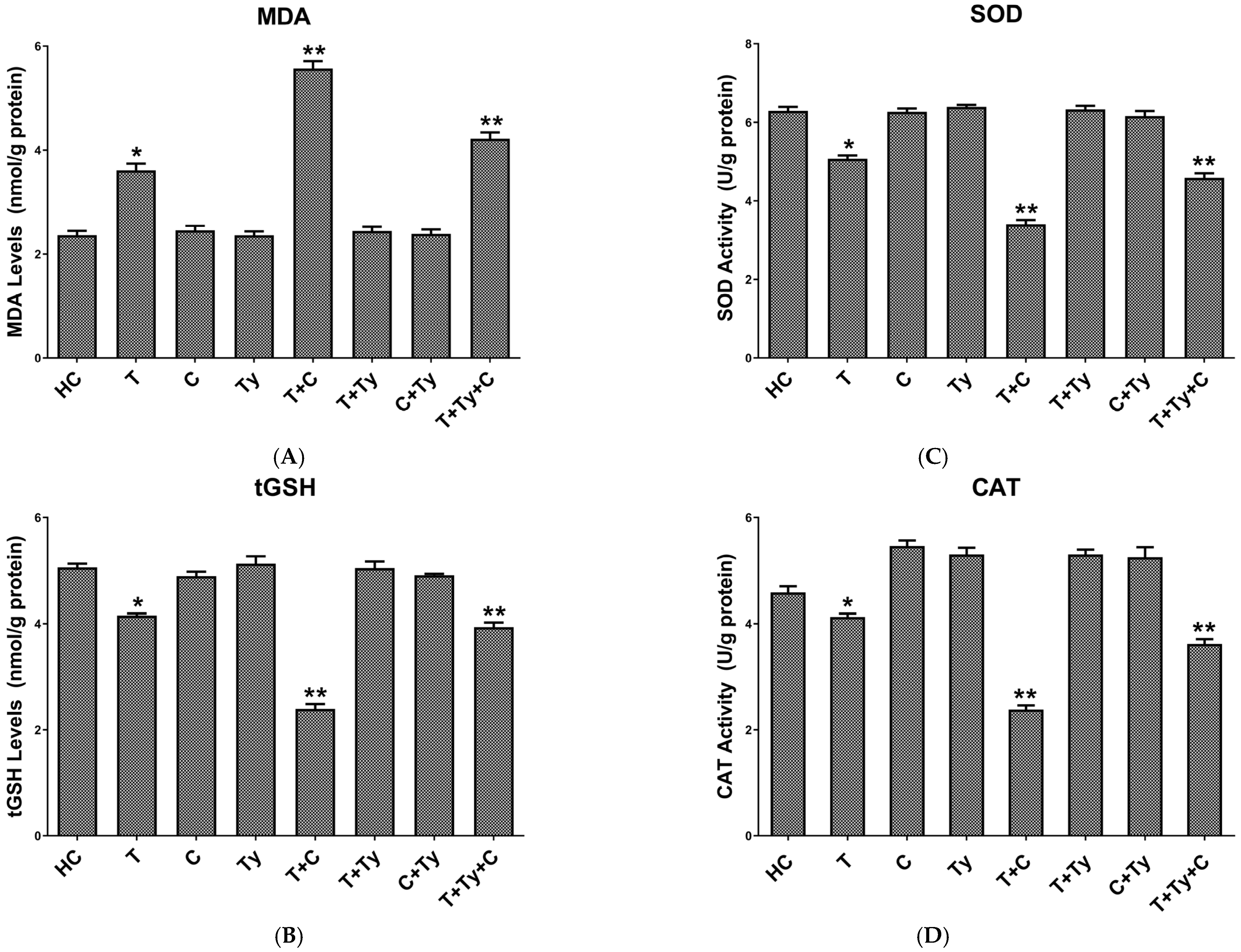 Biomedicines 13 01690 g001