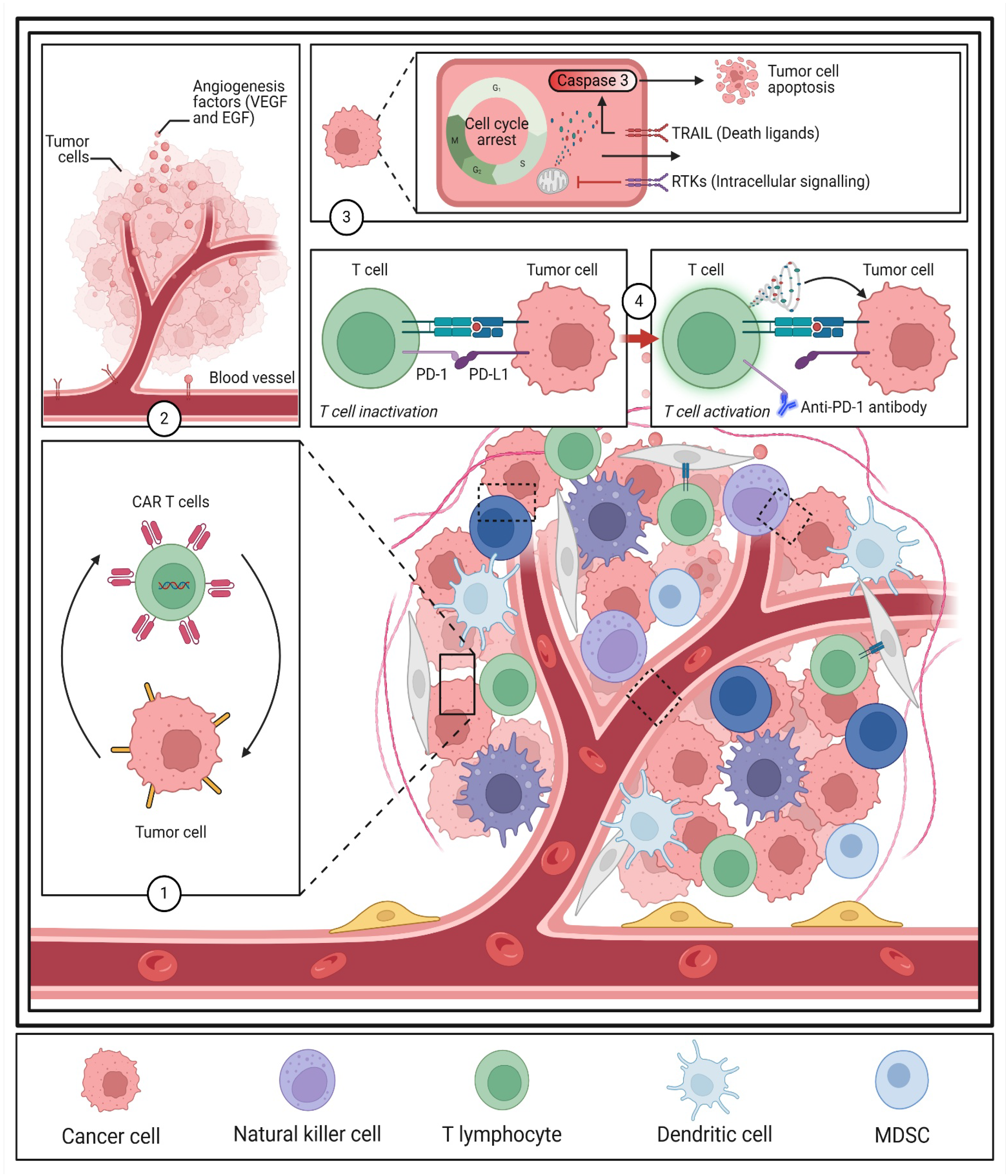 Biomedicines 13 01691 g003