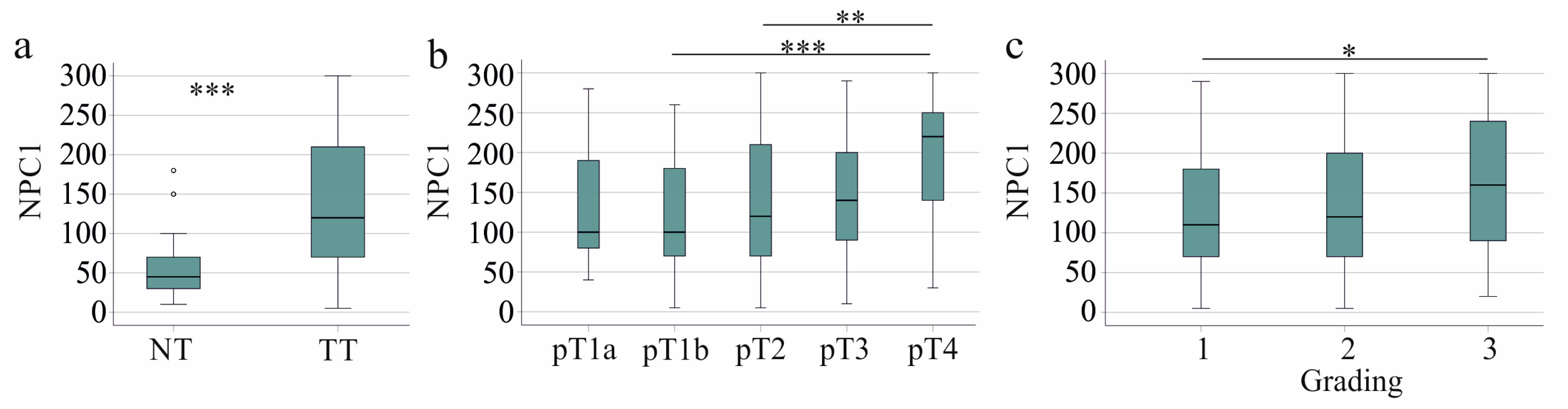 Biomedicines 13 01707 g002