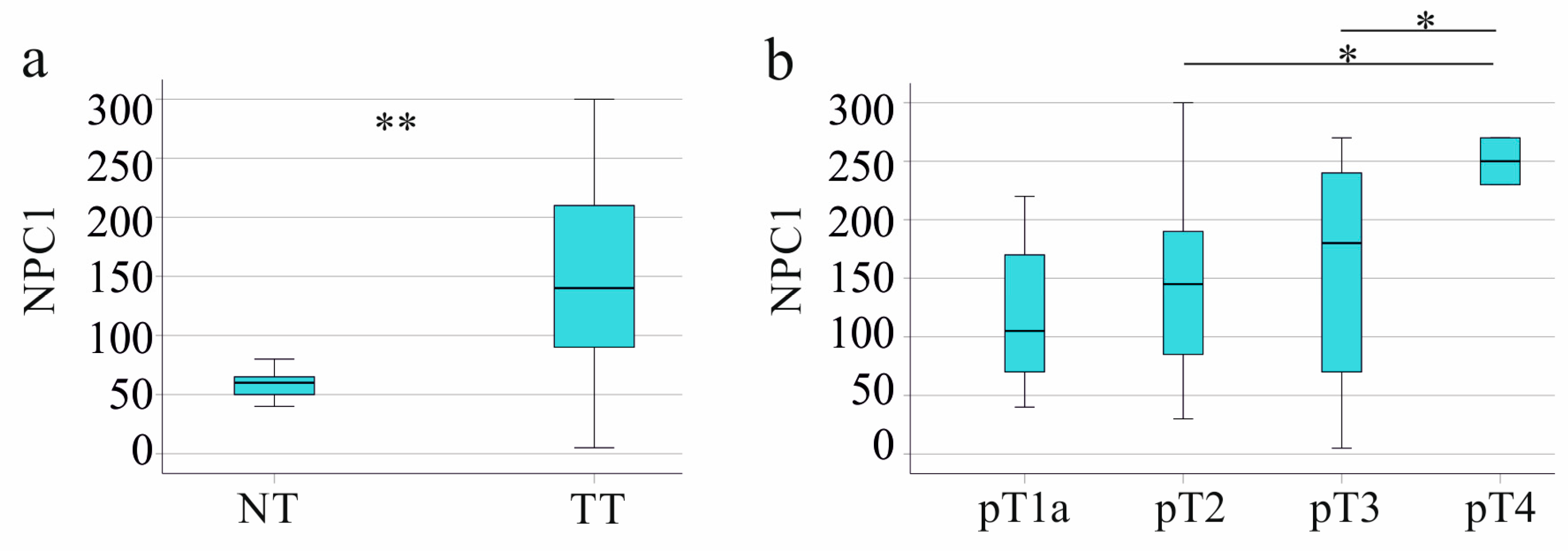 Biomedicines 13 01707 g005