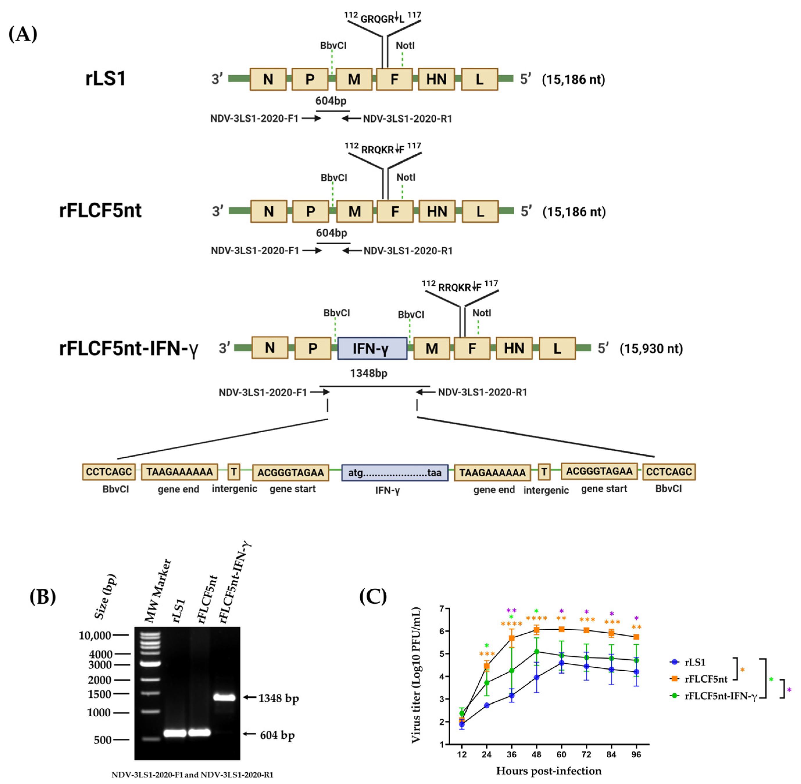 Biomedicines 13 01710 g001