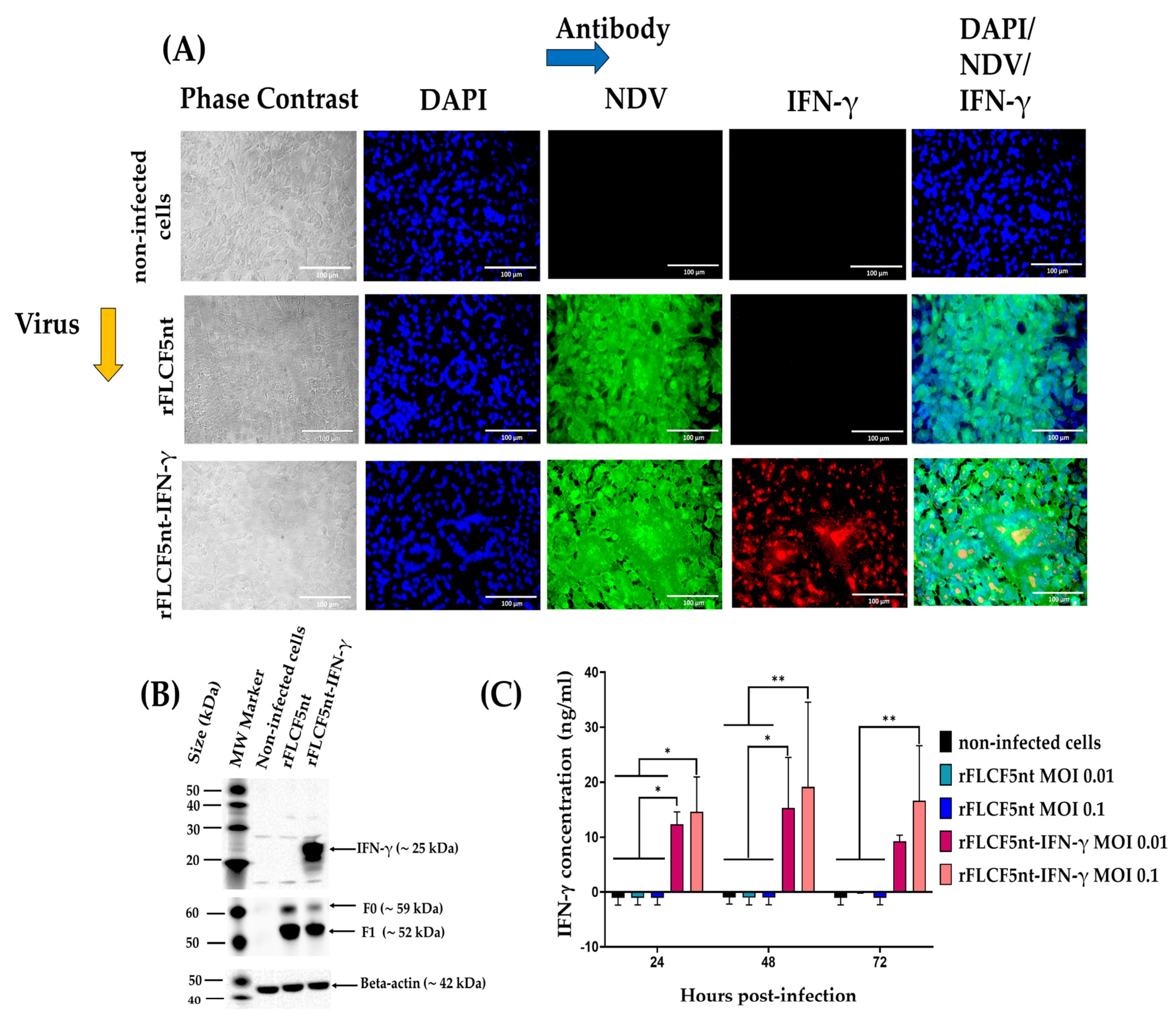 Biomedicines 13 01710 g002