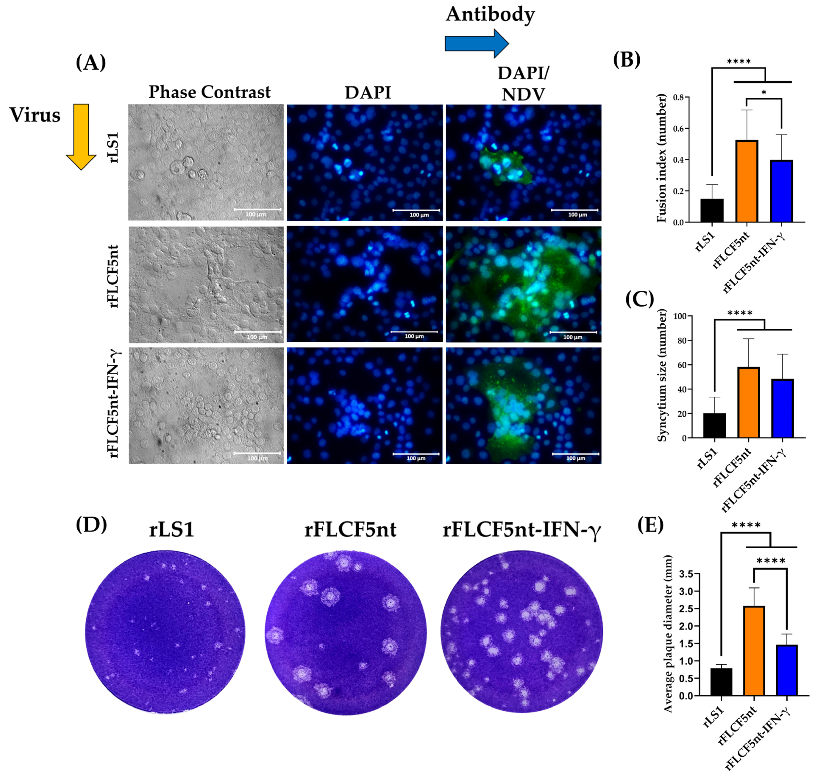 Biomedicines 13 01710 g004