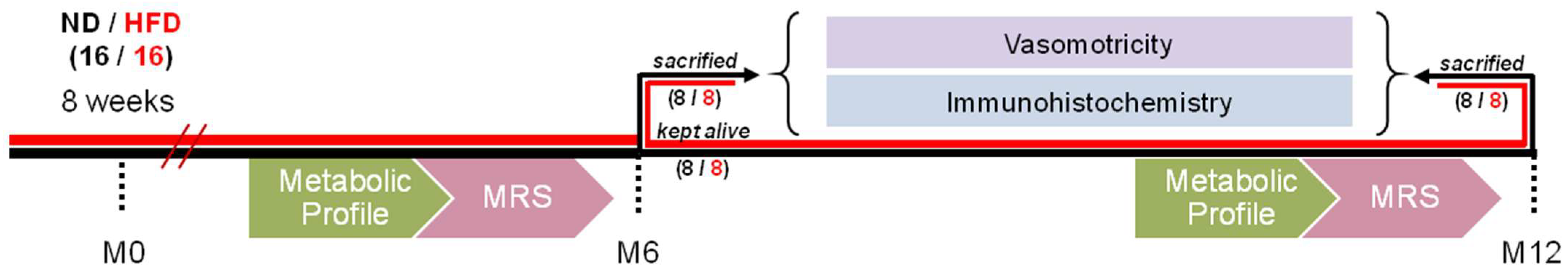 Biomedicines 13 01712 g001
