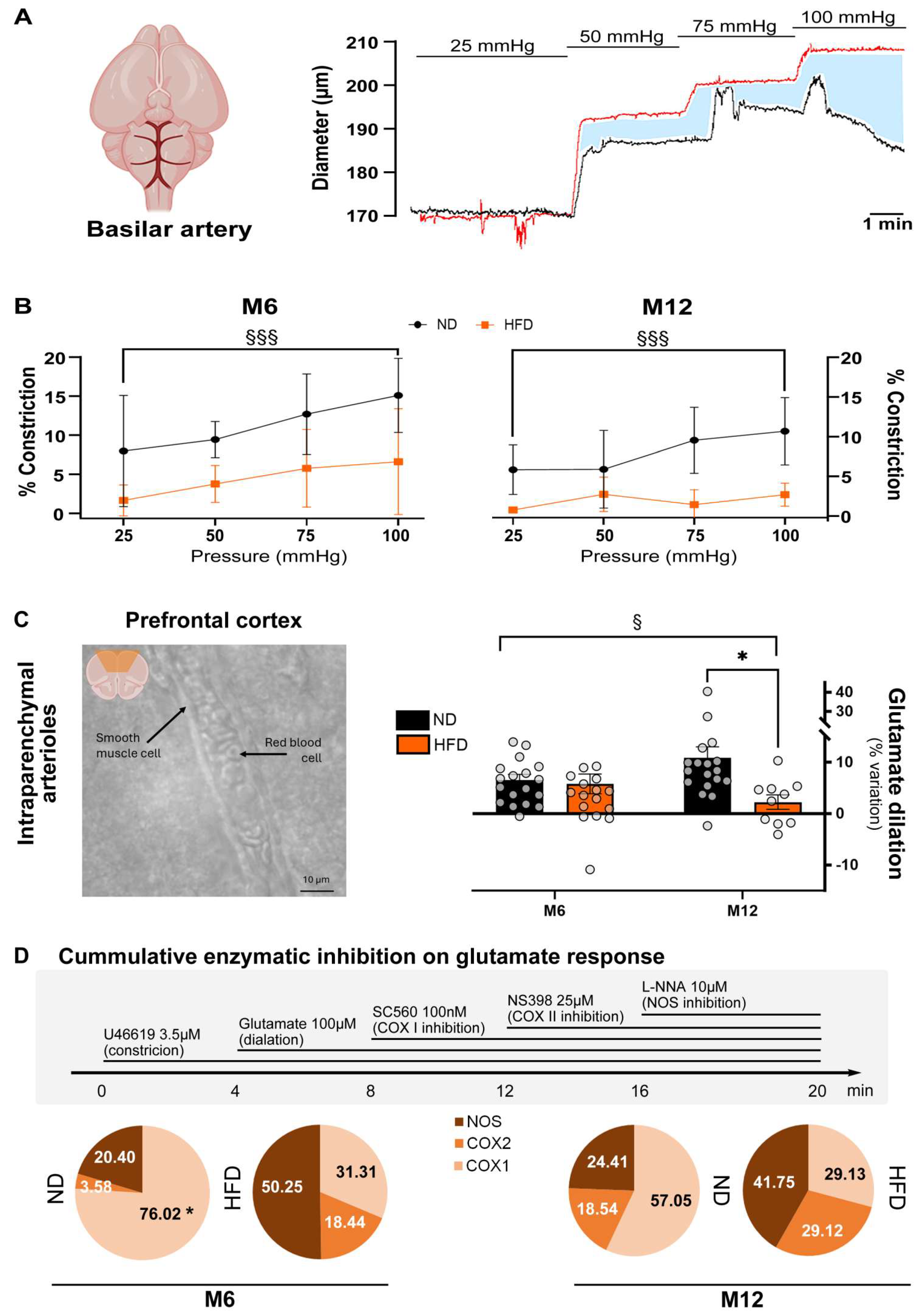 Biomedicines 13 01712 g003
