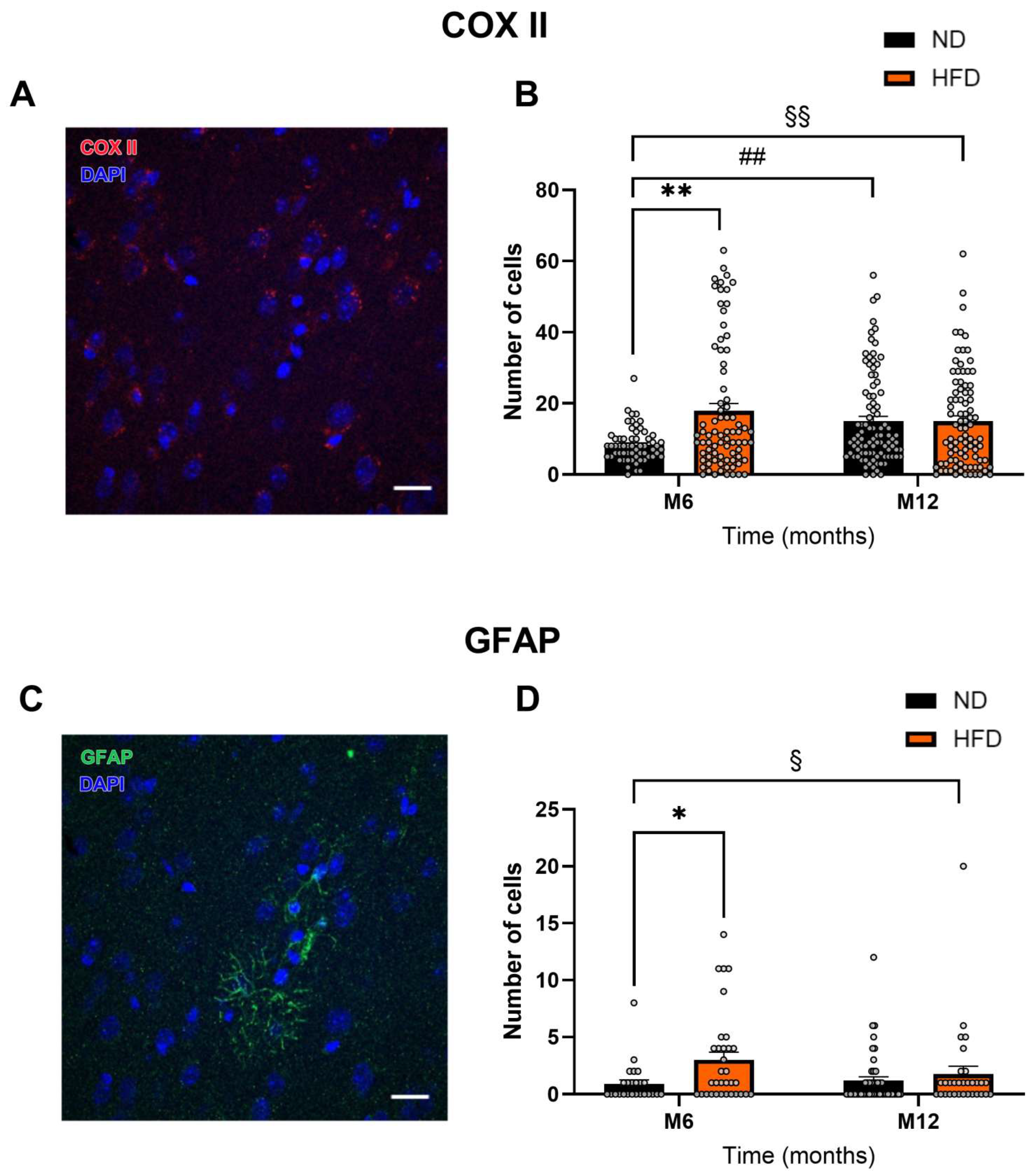 Biomedicines 13 01712 g005