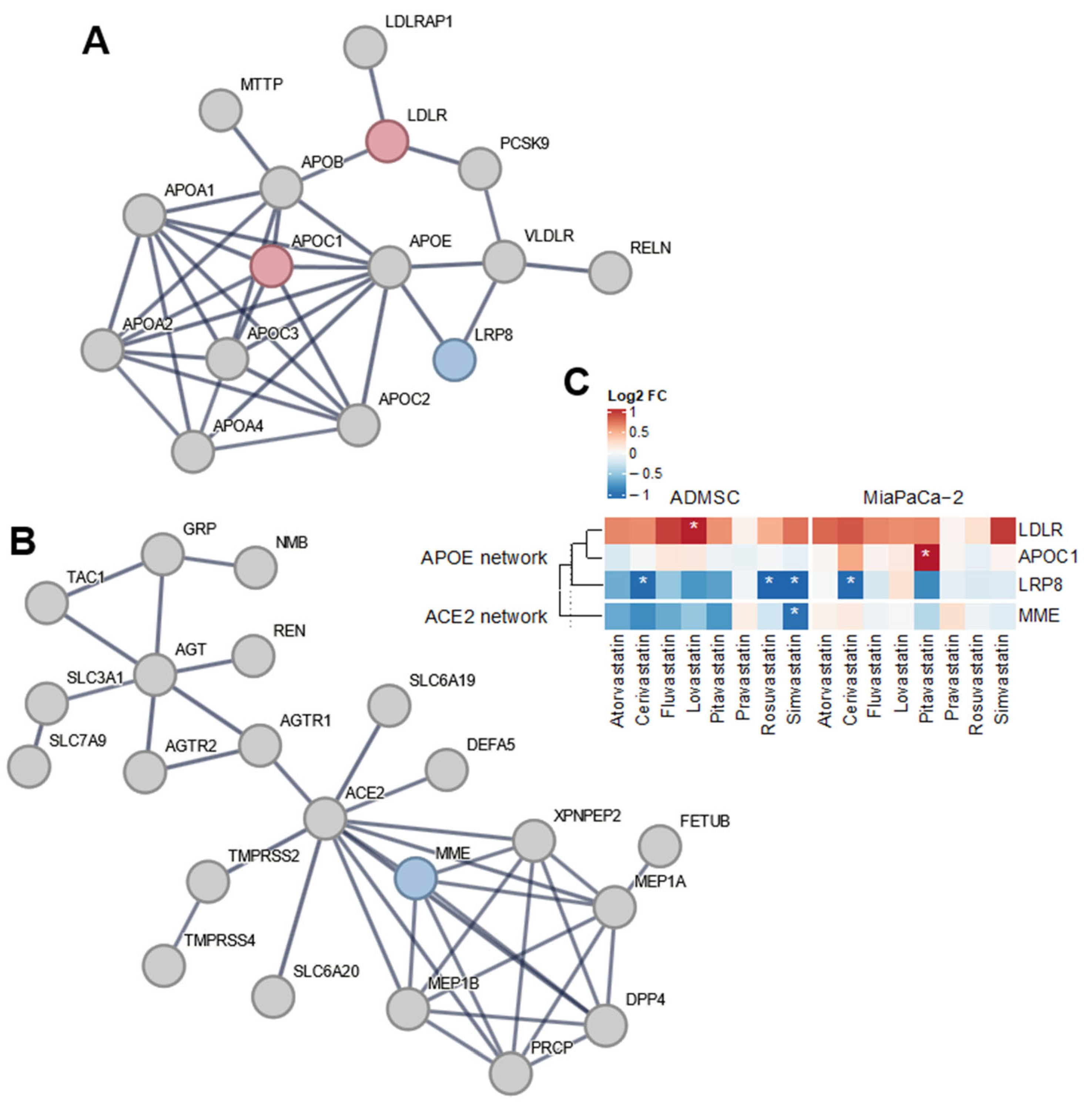 Biomedicines 13 01714 g001
