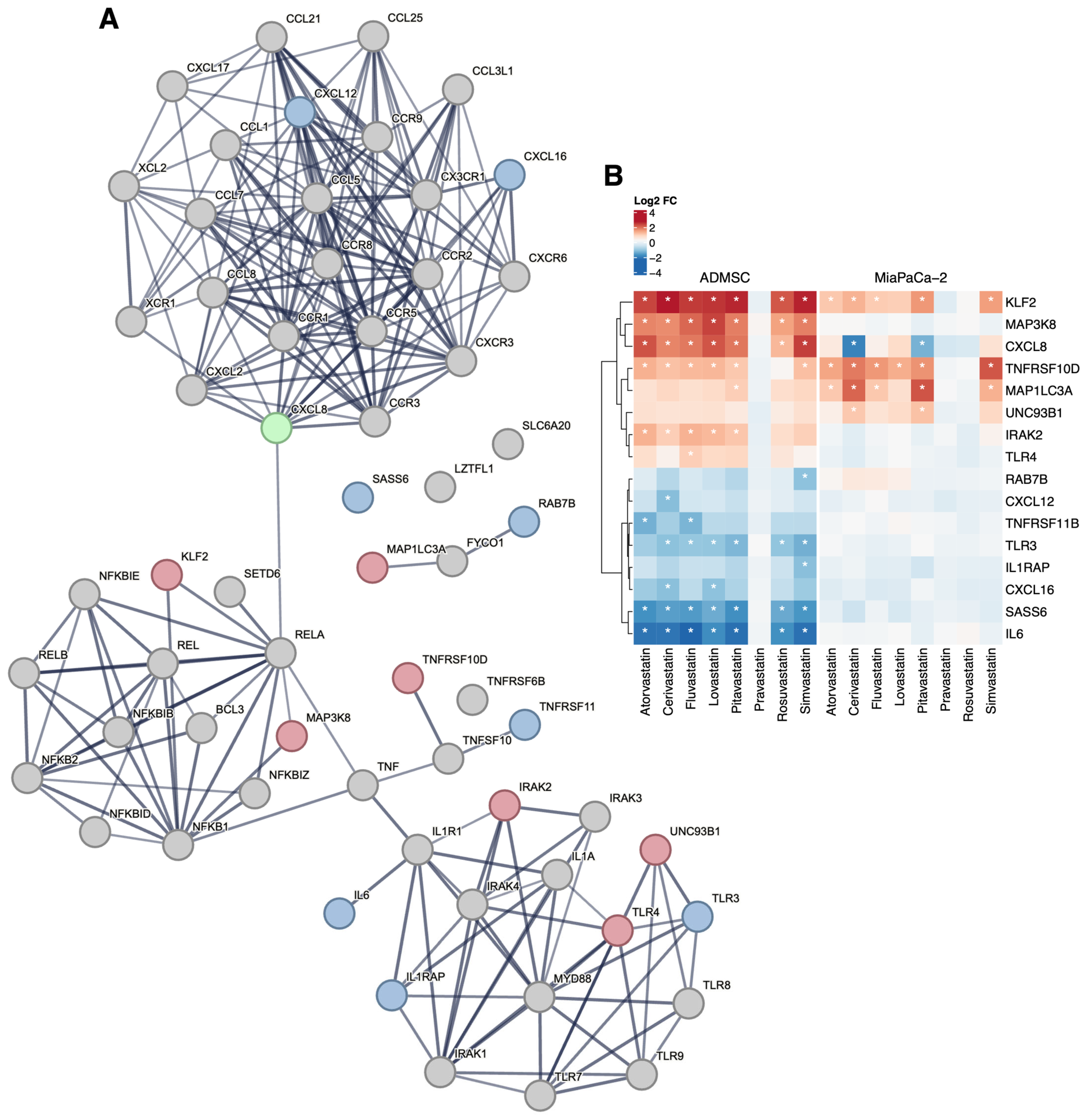 Biomedicines 13 01714 g002