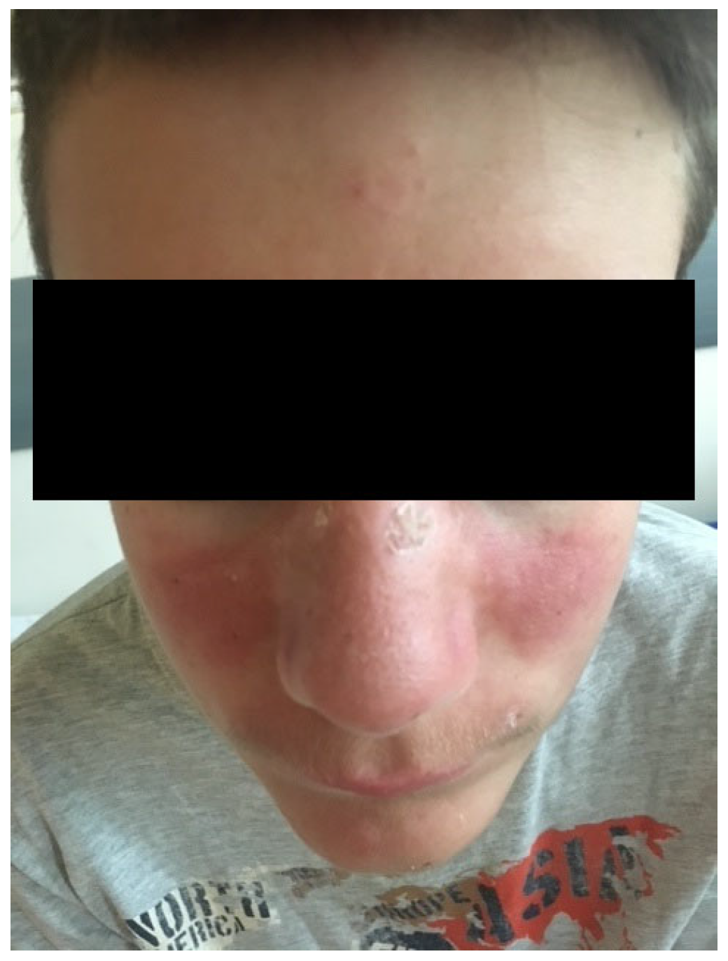 Biomedicines 13 01721 g001