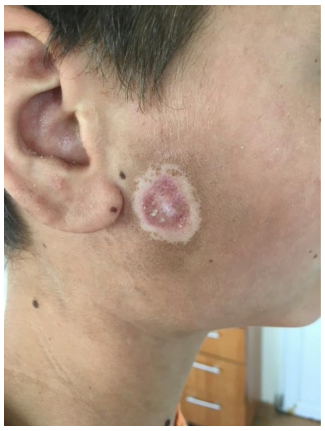 Biomedicines 13 01721 g002