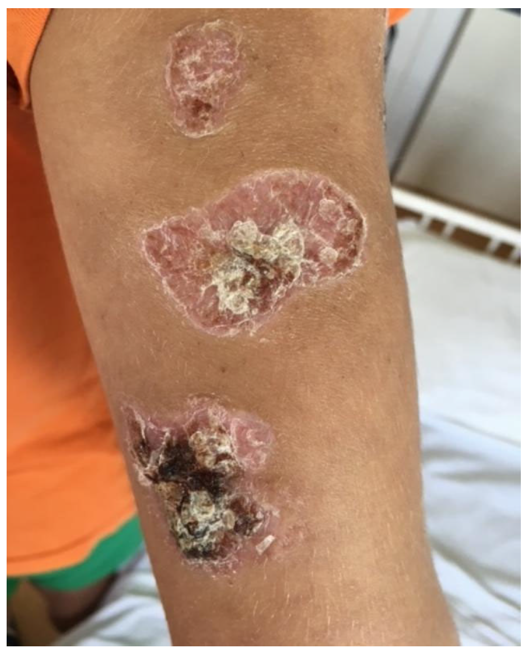 Biomedicines 13 01721 g003