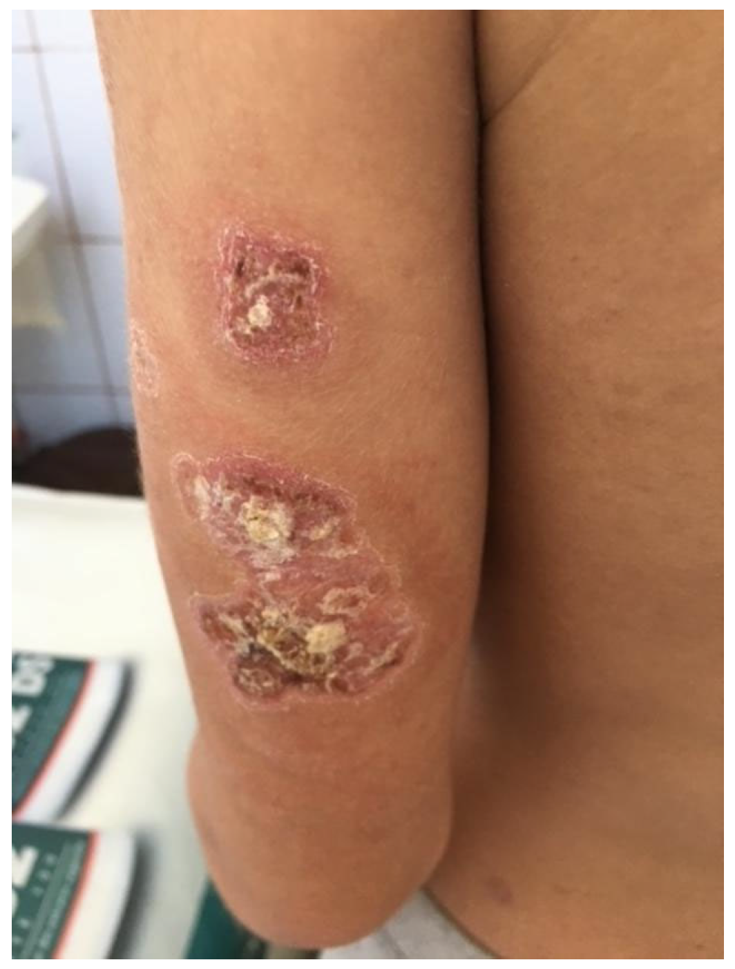 Biomedicines 13 01721 g004