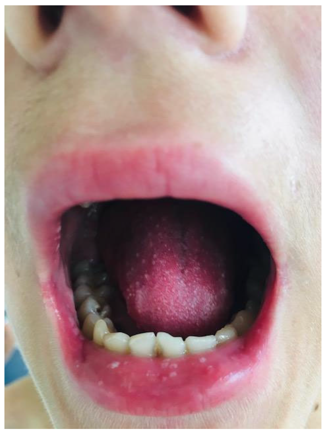 Biomedicines 13 01721 g005