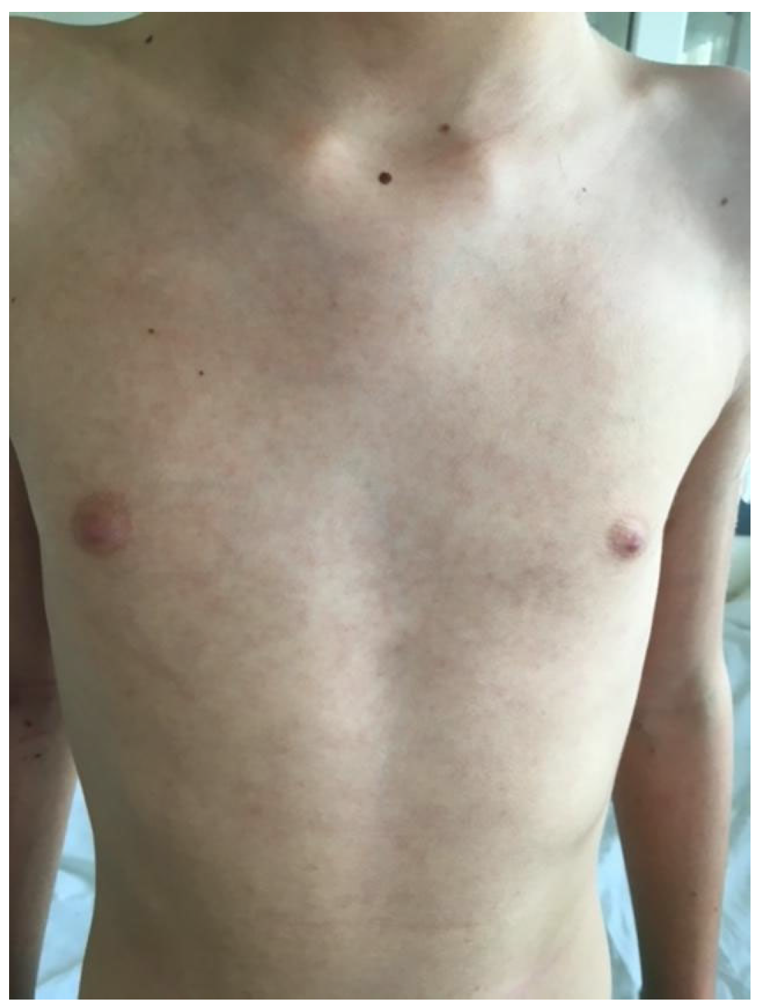 Biomedicines 13 01721 g007