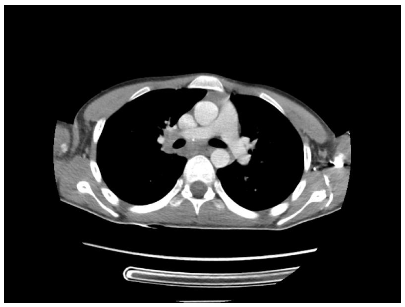 Biomedicines 13 01721 g010