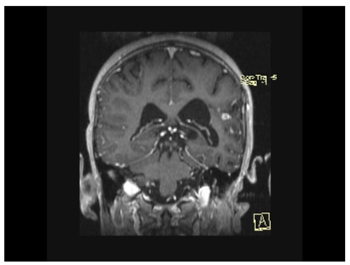 Biomedicines 13 01721 g013