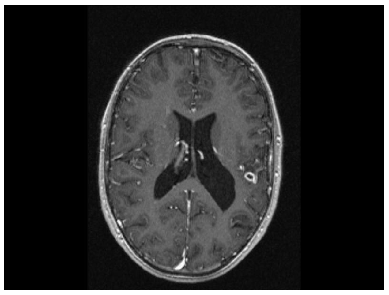 Biomedicines 13 01721 g014