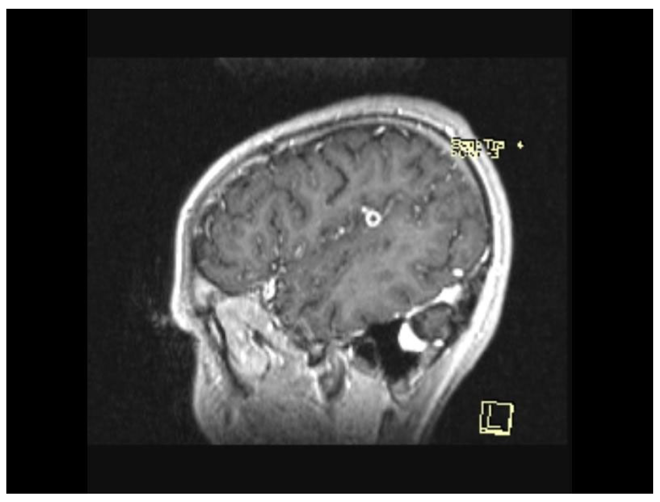Biomedicines 13 01721 g015