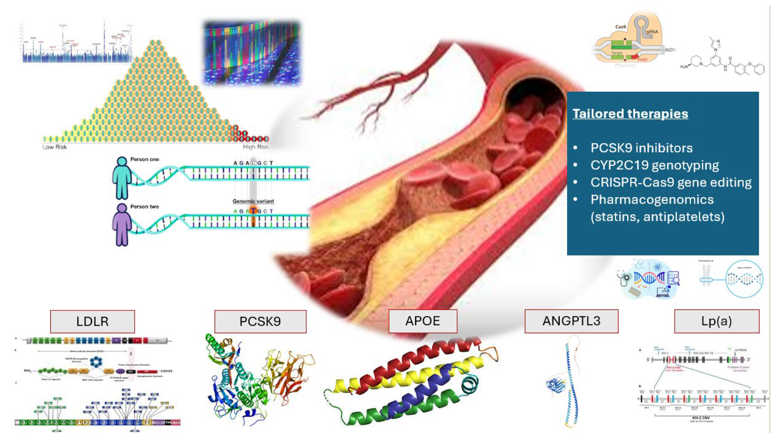 Biomedicines 13 01723 g001