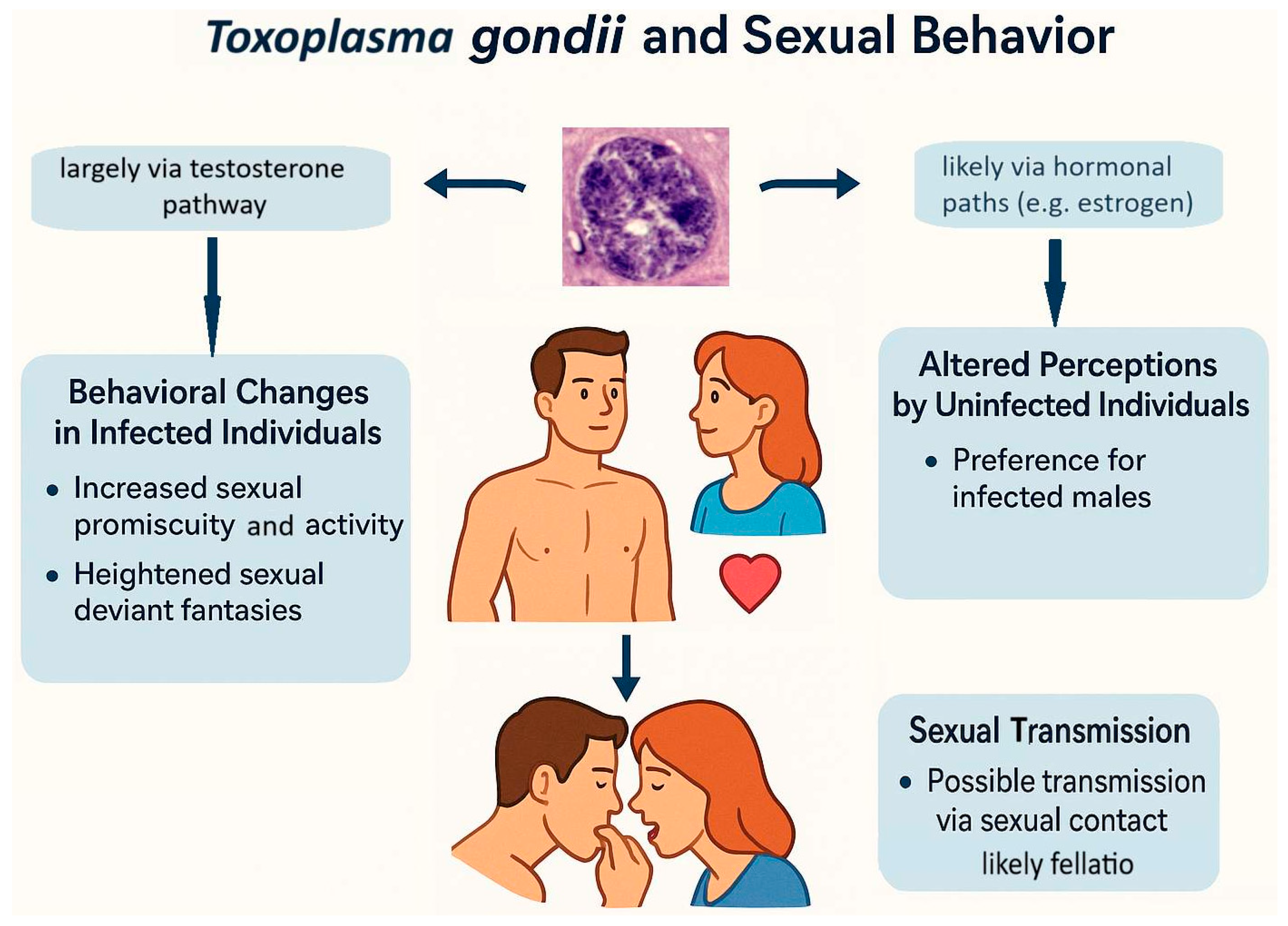 Biomedicines 13 01731 g004