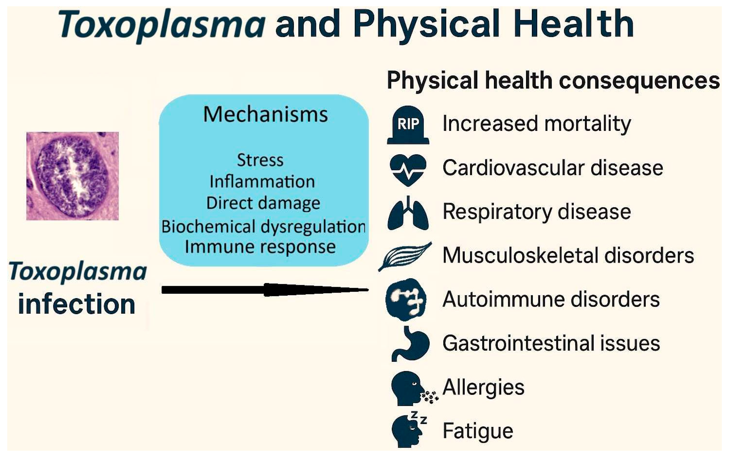 Biomedicines 13 01731 g007