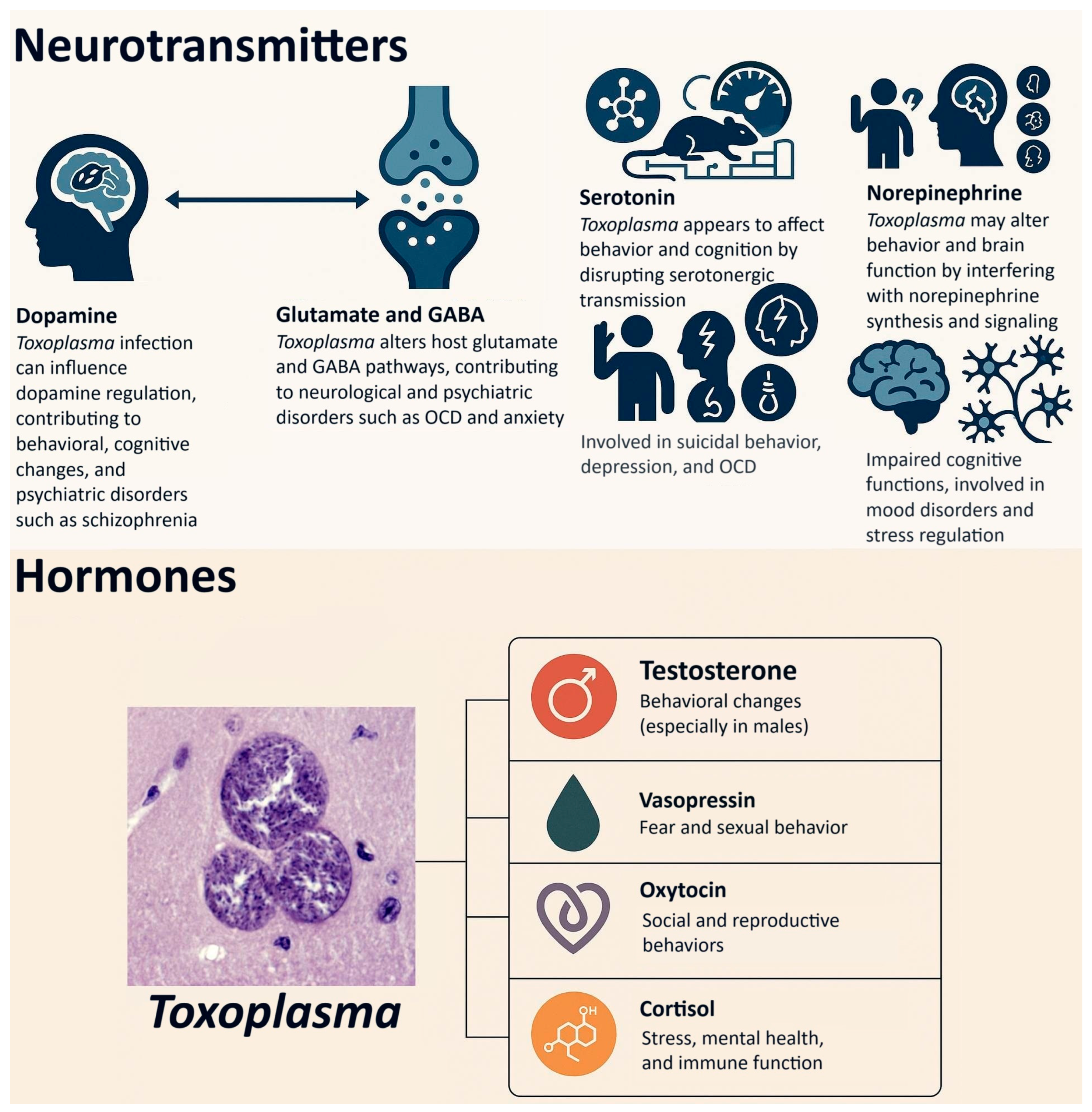 Biomedicines 13 01731 g008