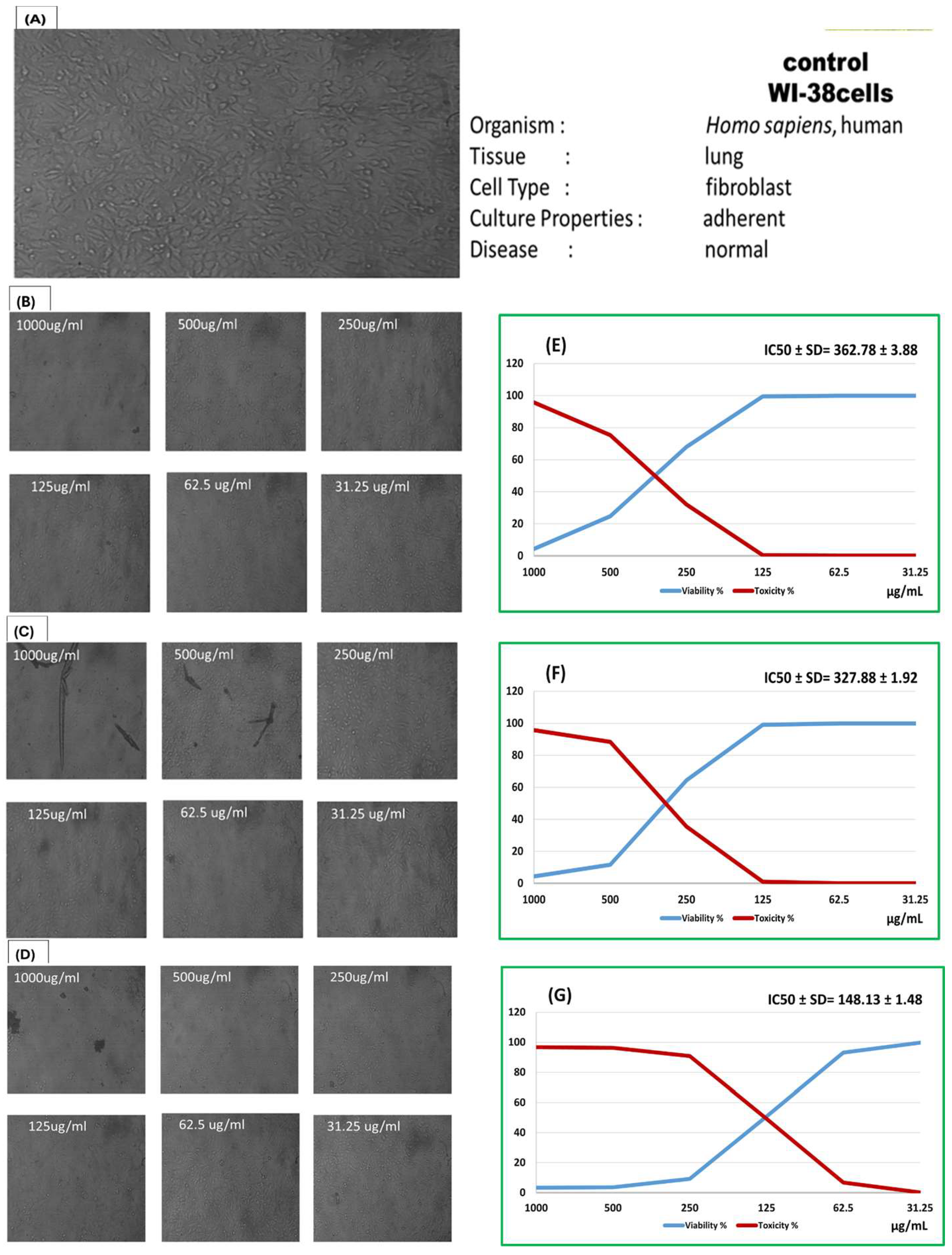 Biomedicines 13 01732 g004