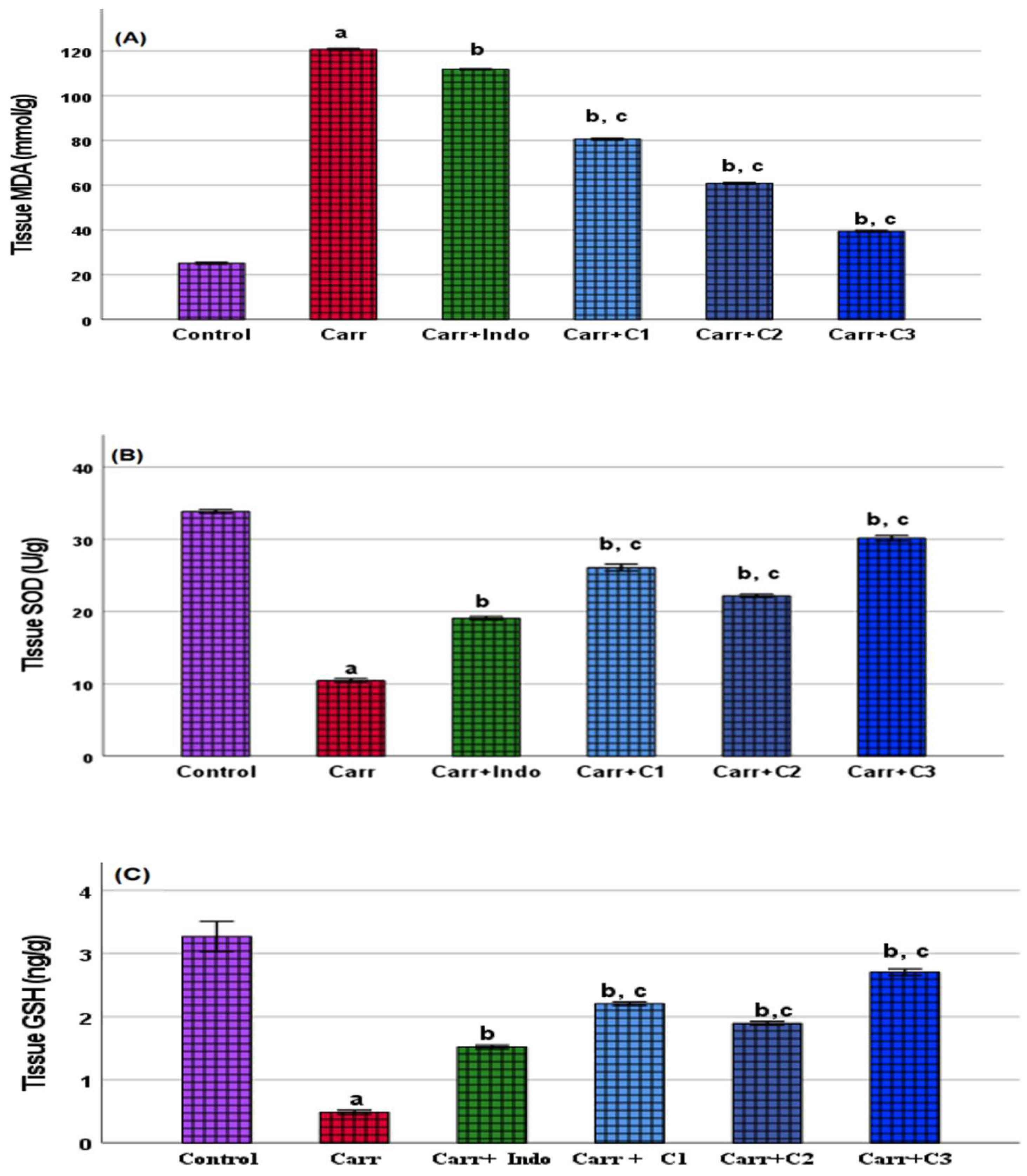 Biomedicines 13 01732 g006
